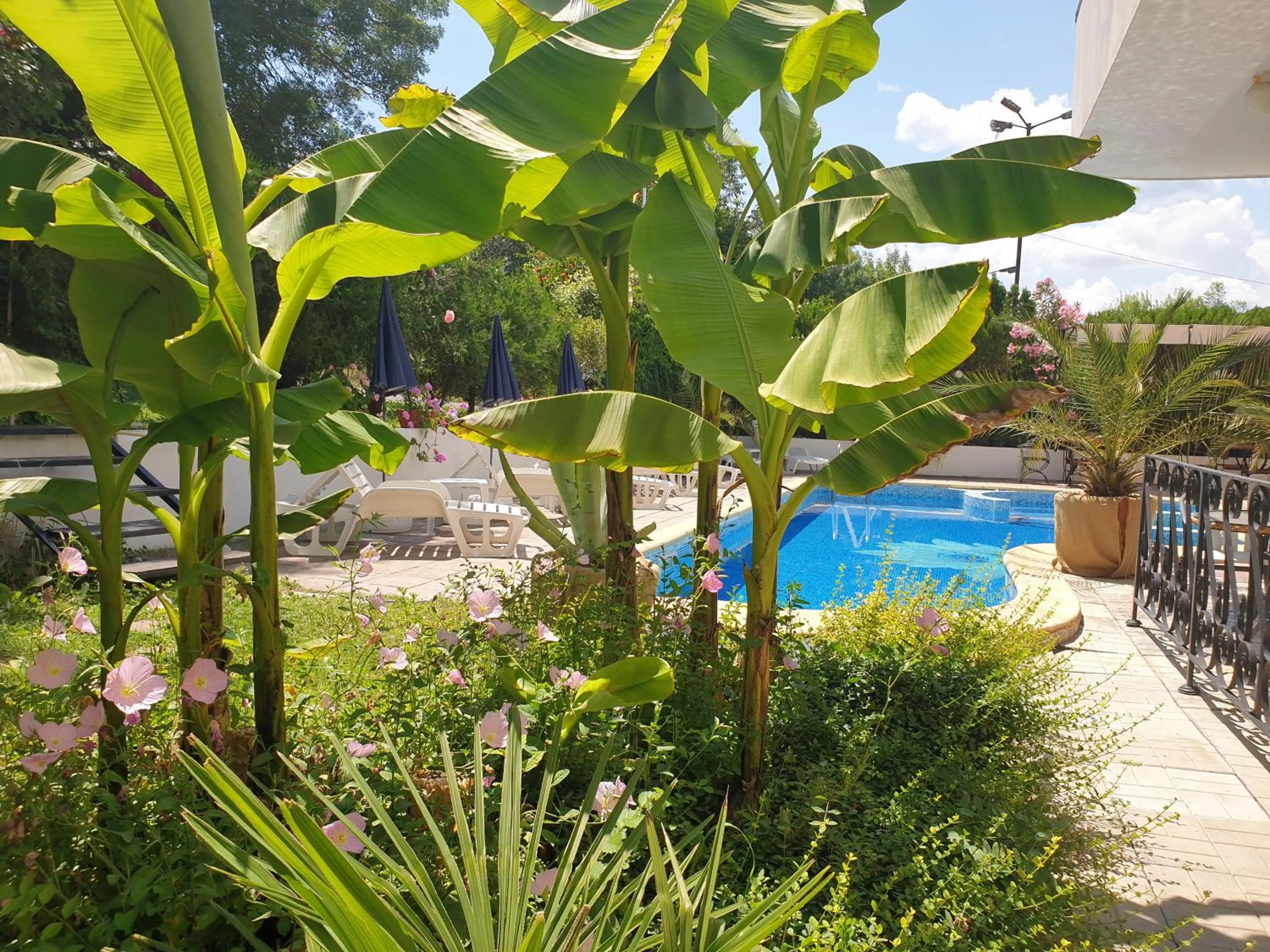 Day in Hotel Feniks Lozenets