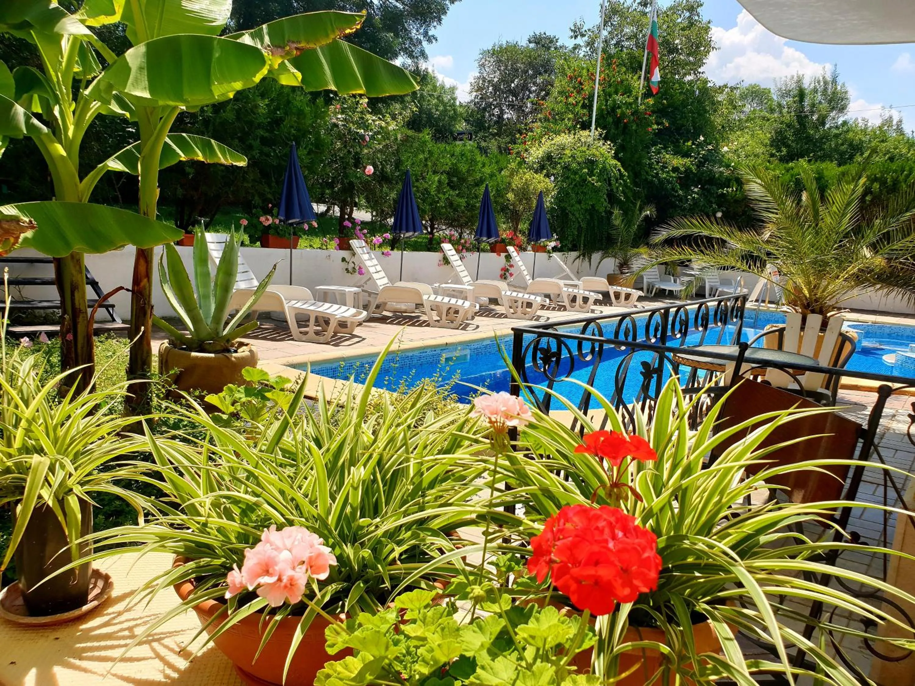 Day in Hotel Feniks Lozenets