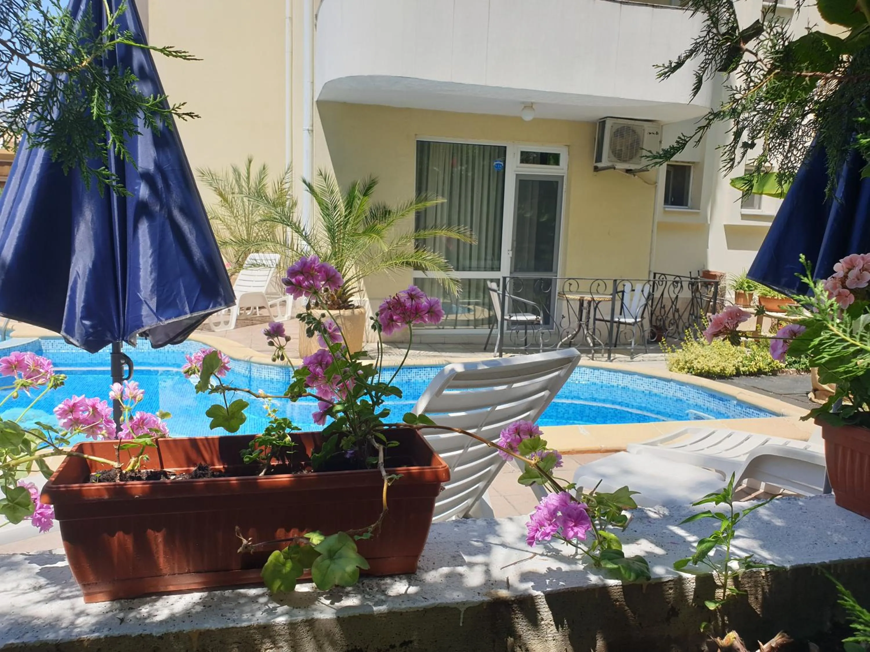 Swimming pool in Hotel Feniks Lozenets
