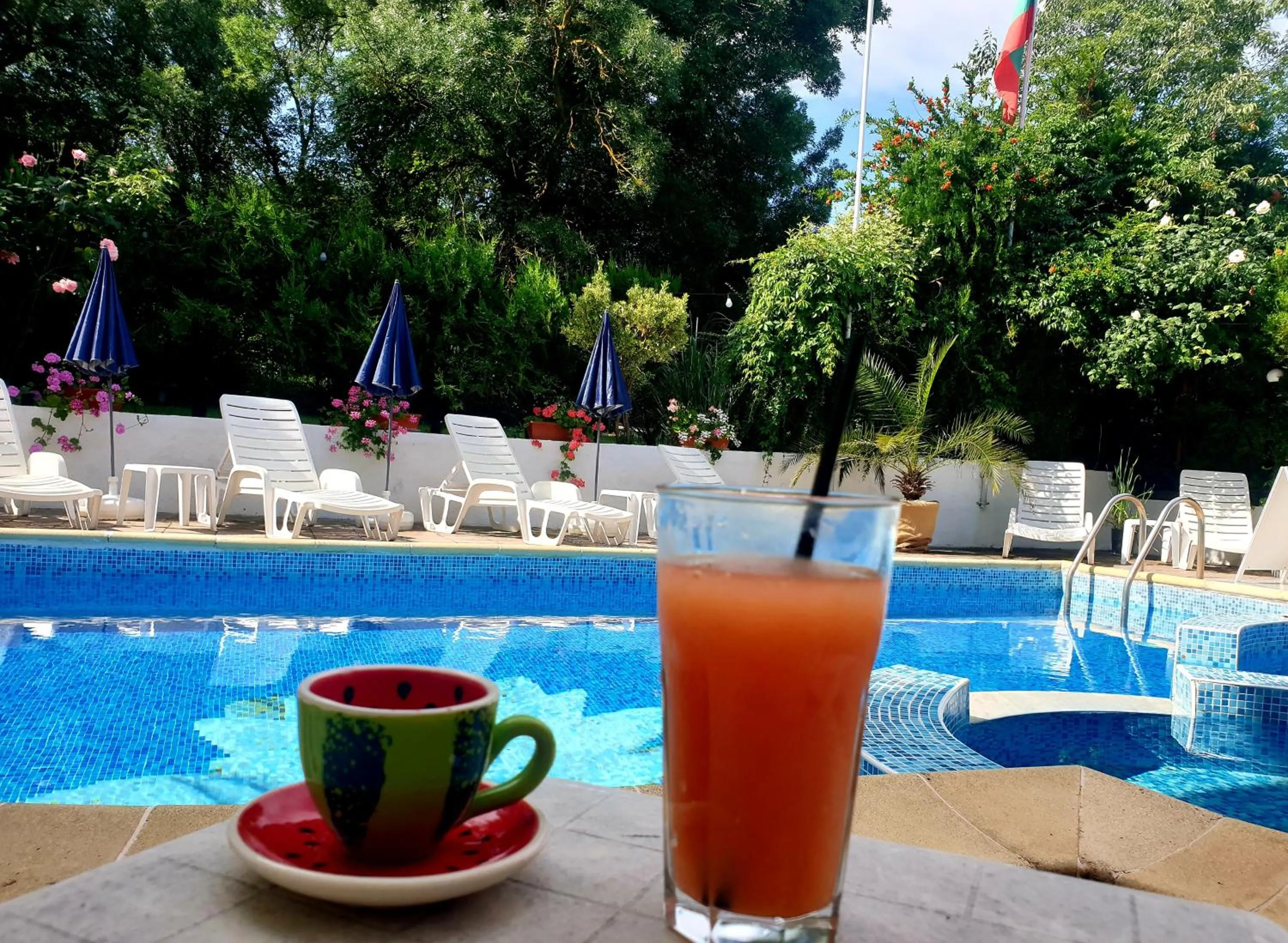 Swimming pool in Hotel Feniks Lozenets