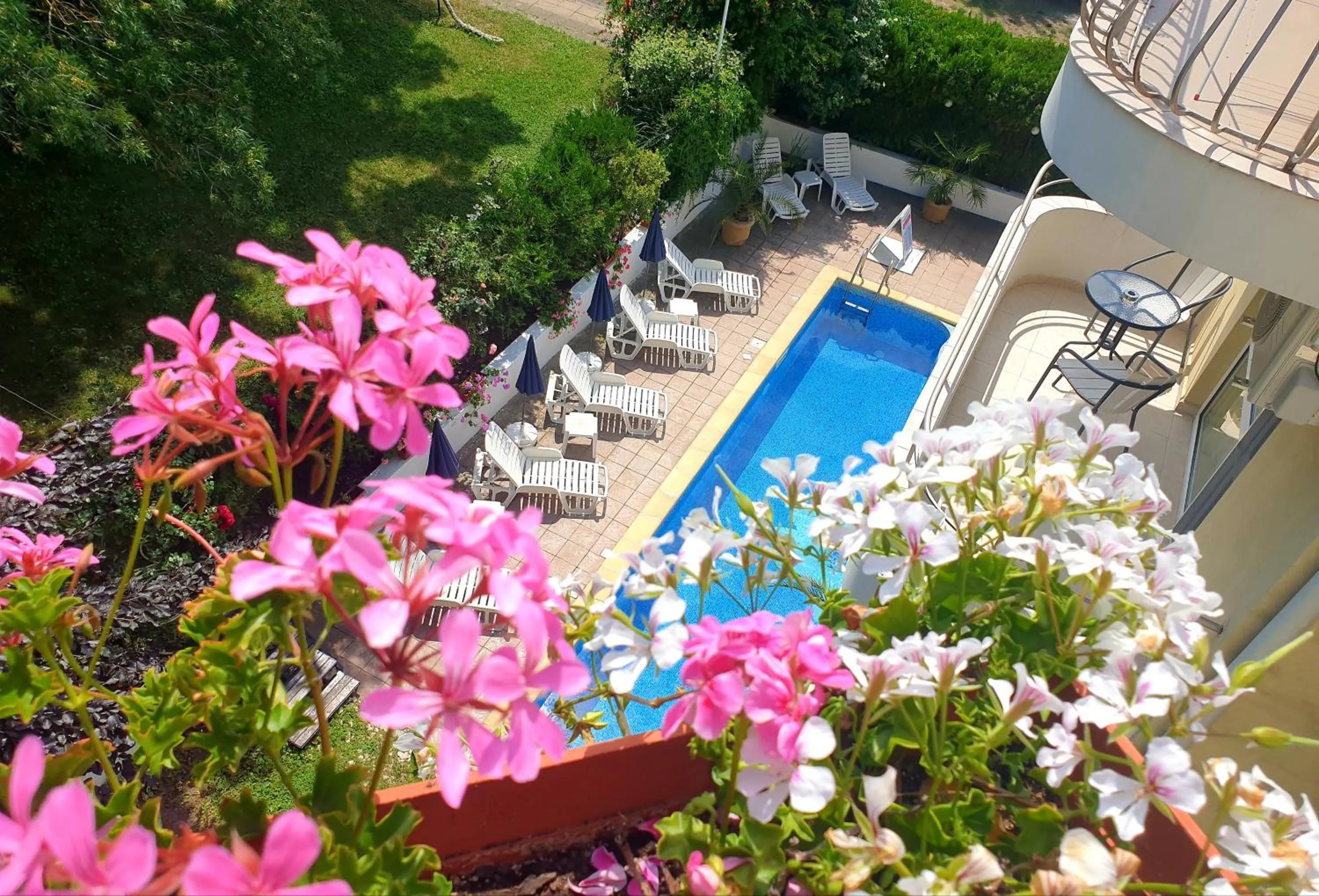 Swimming pool in Hotel Feniks Lozenets