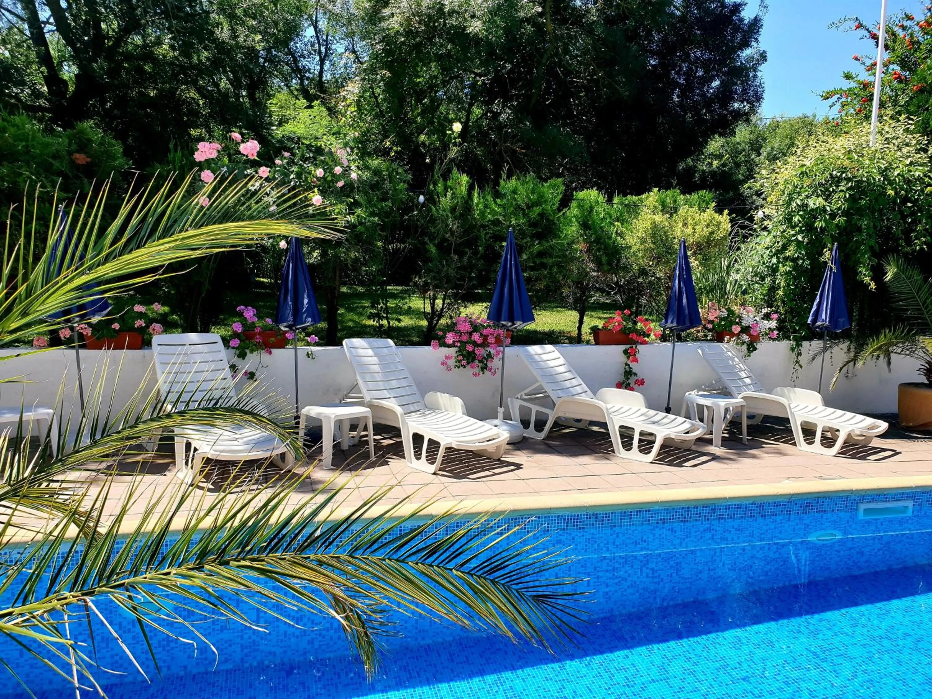 Swimming pool in Hotel Feniks Lozenets