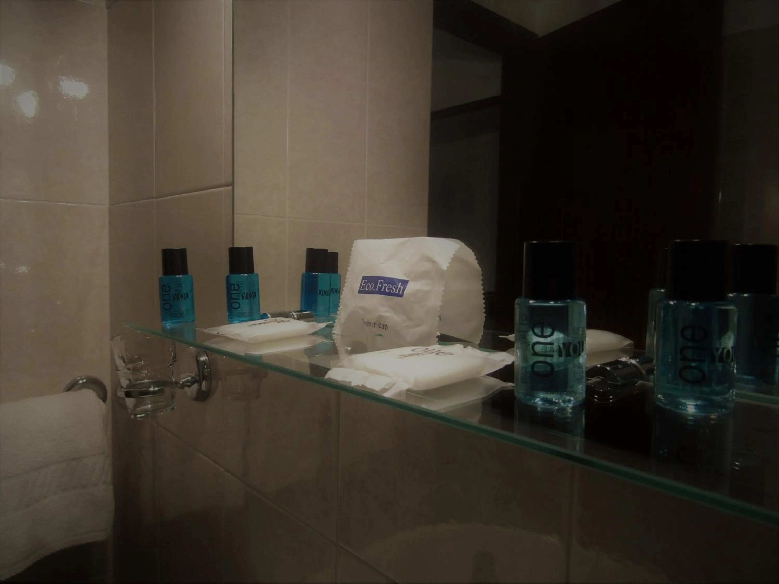 Toilet in Hotel Excelsior