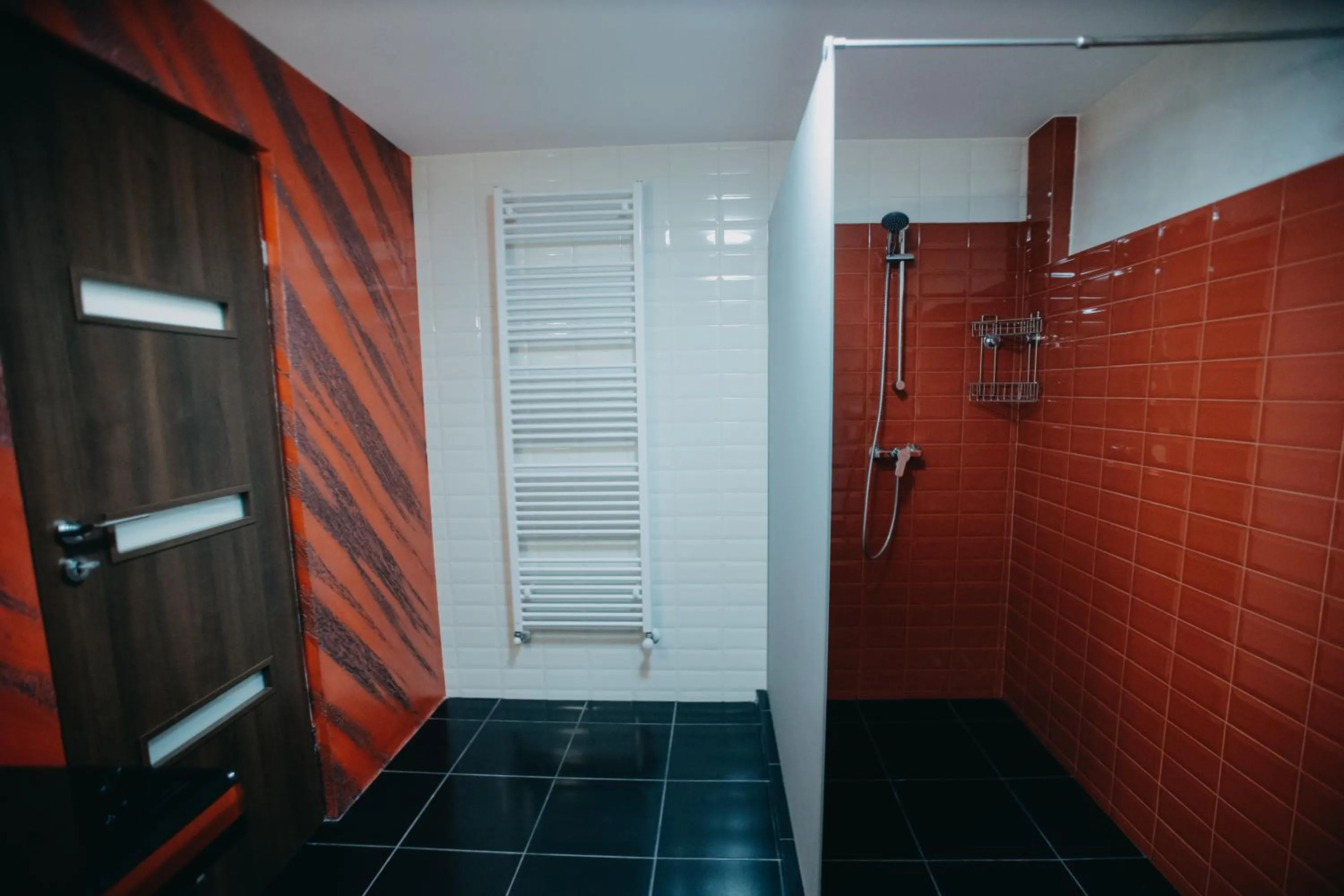 Shower in Pensiunea Jacqueline