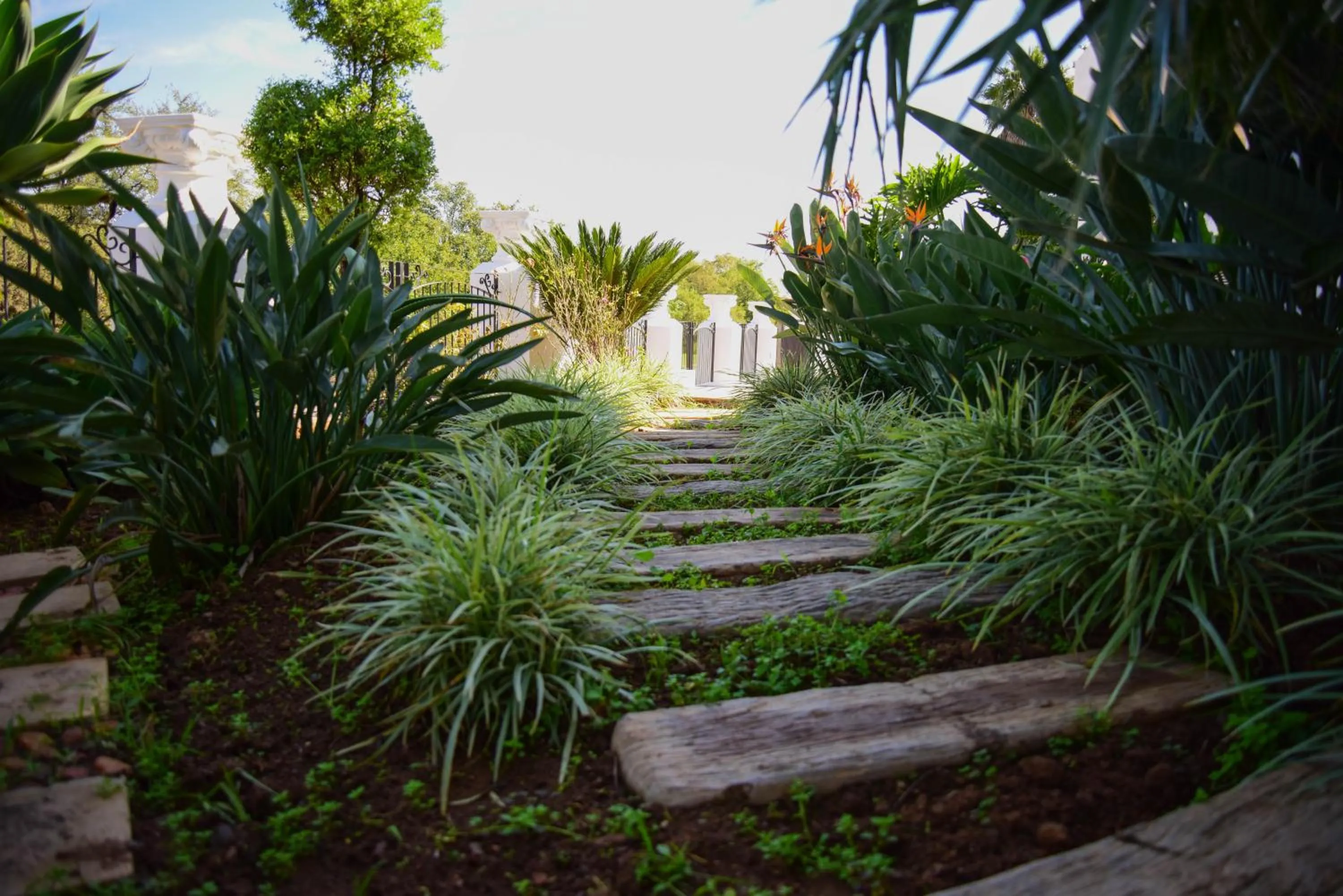 Property building in Indlovukazi Guesthouse
