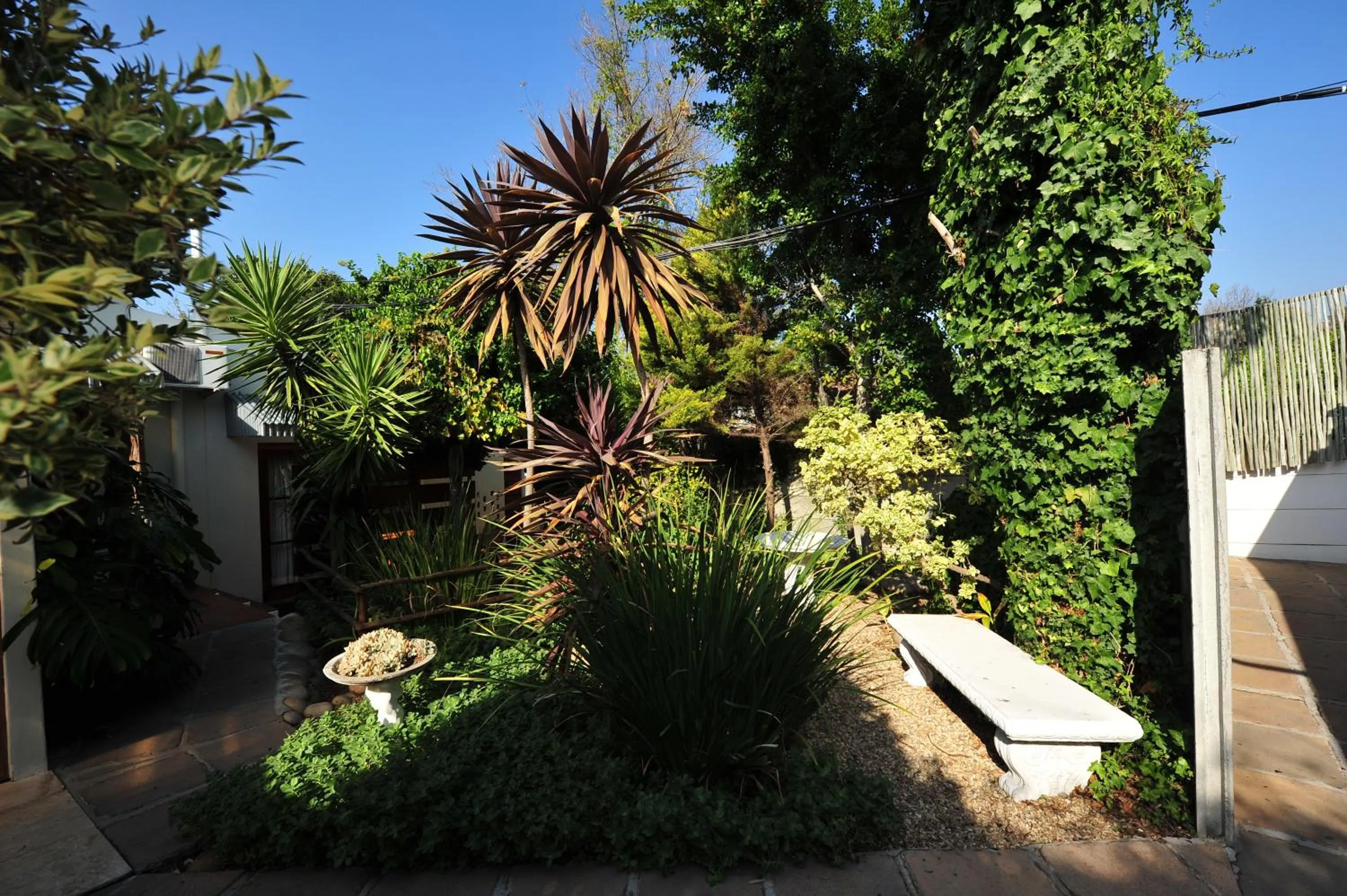 Garden in Little Scotia