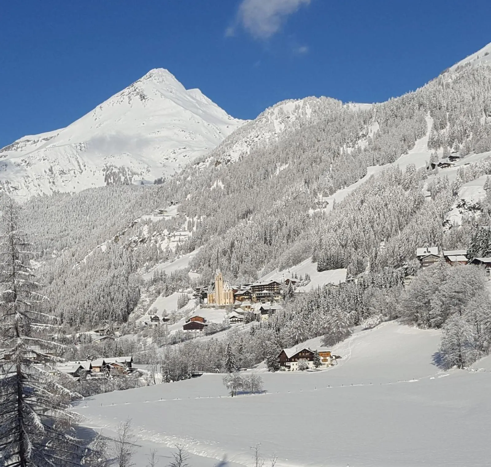 Hotel - Restaurant - Sonnblick