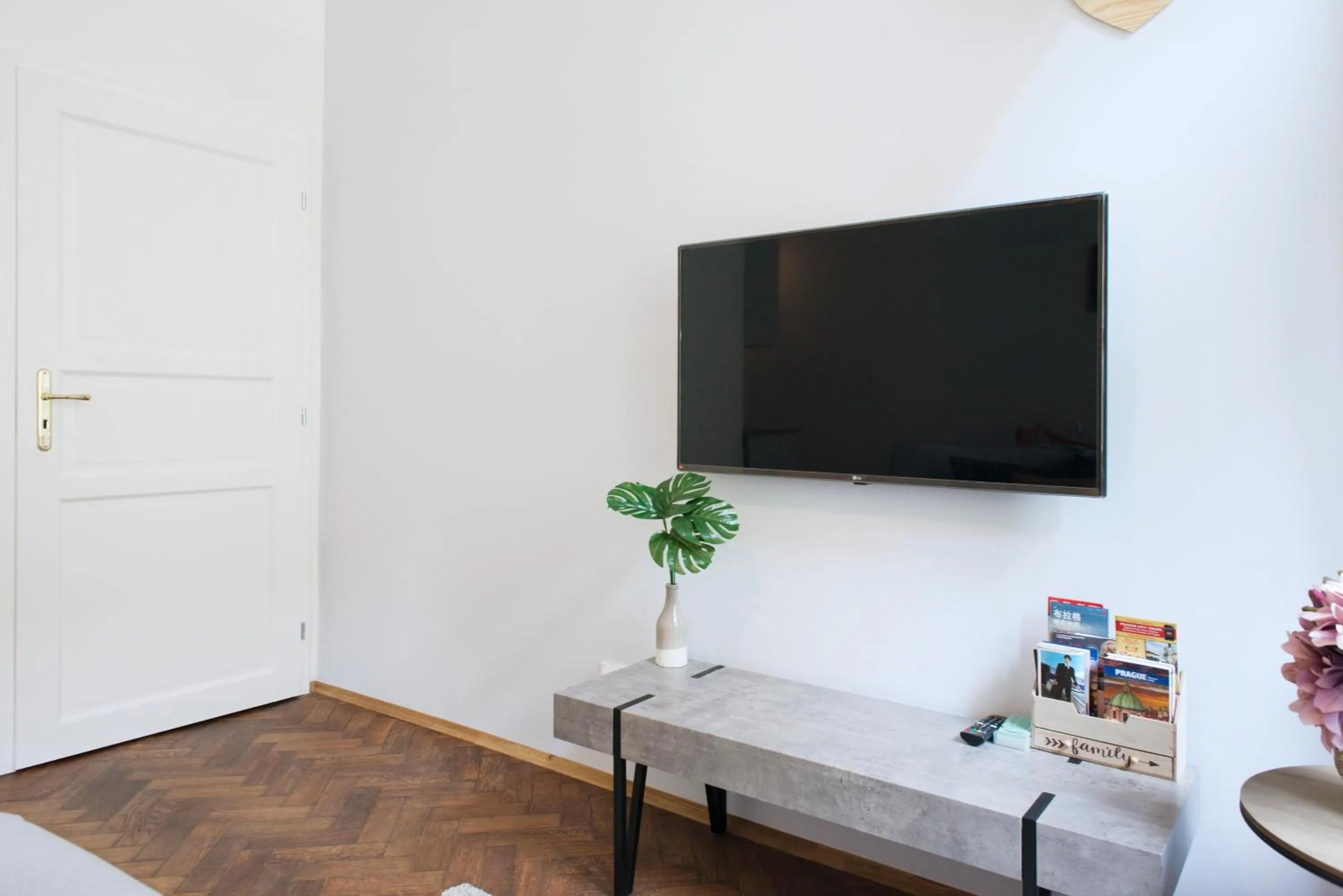 TV and multimedia in Kent Ridge Loft (Lublanska)