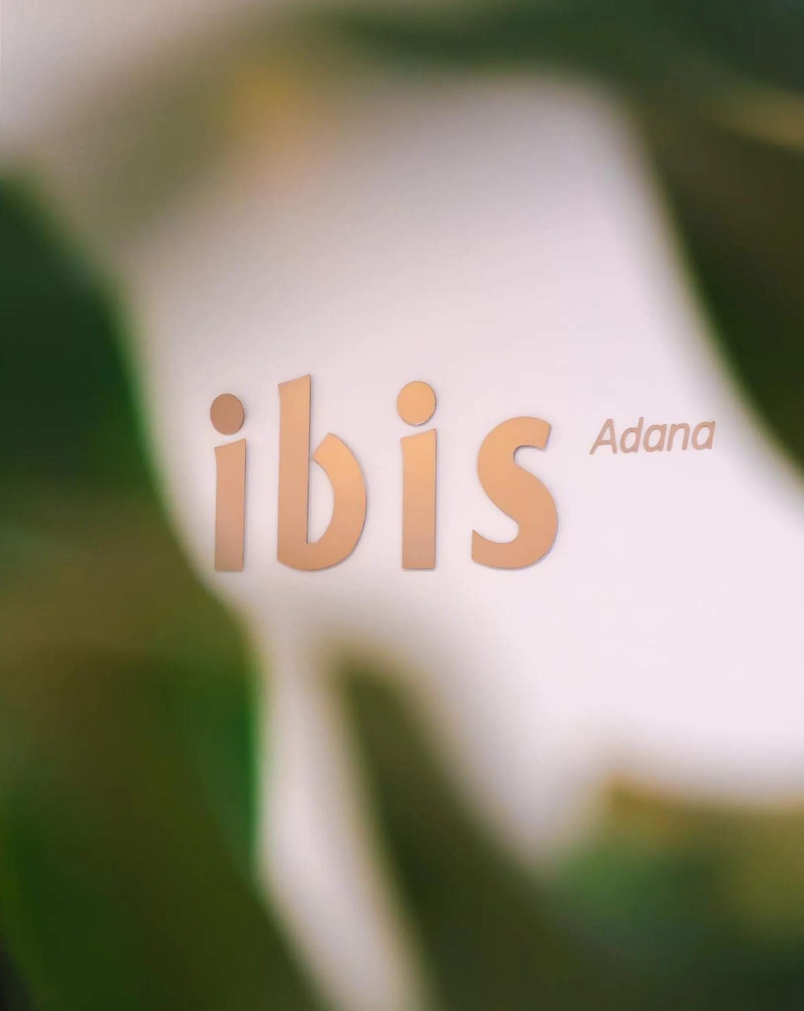 Property logo or sign in ibis Adana