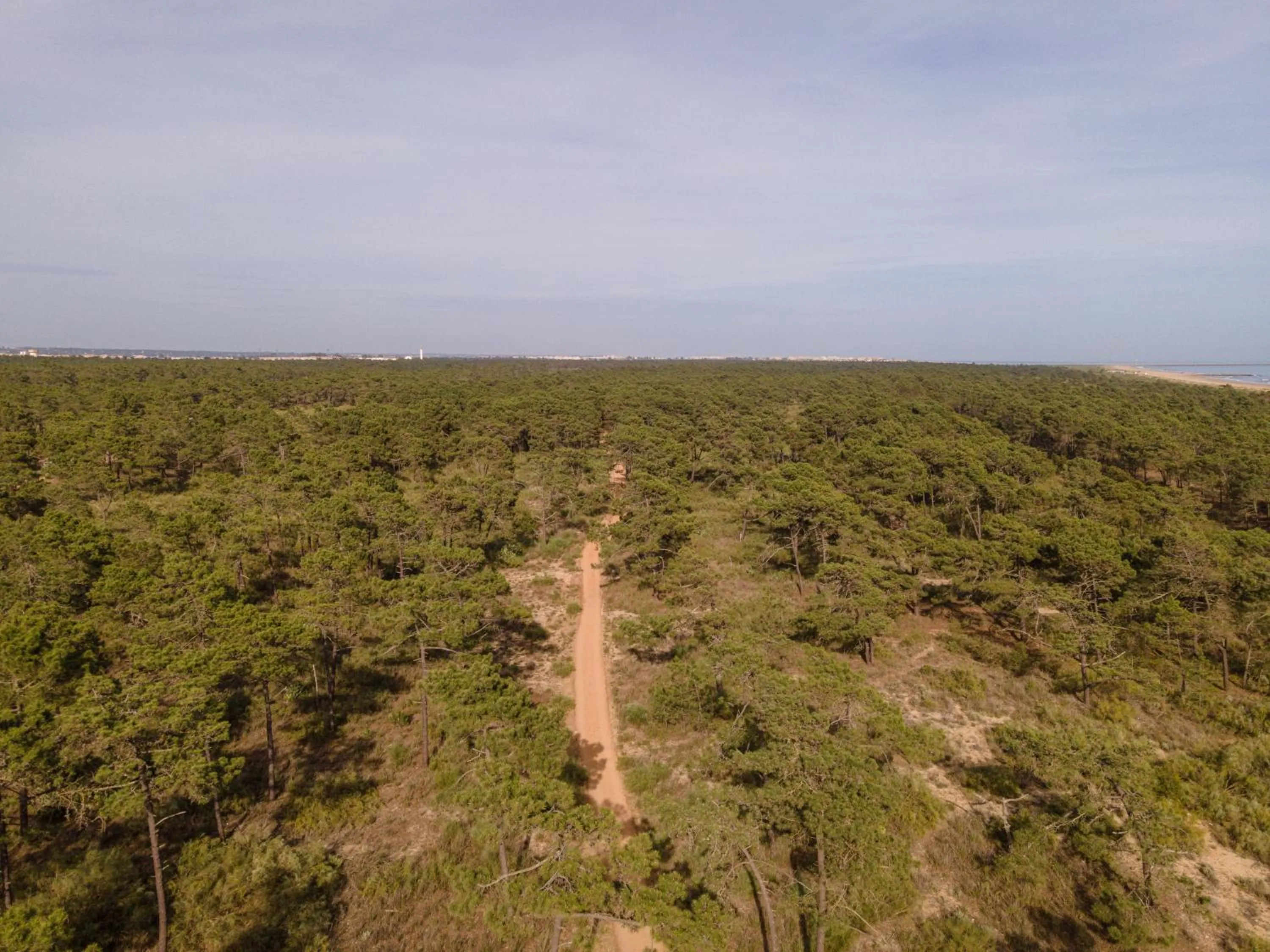Natural landscape in Casablanca Unique Hotel