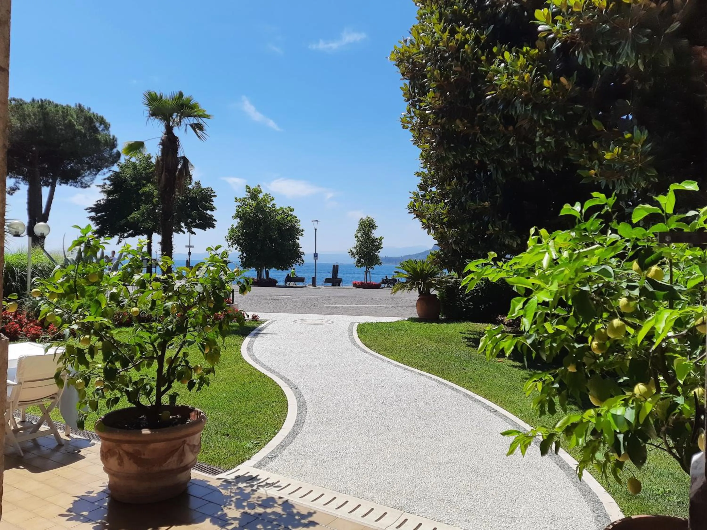 Garden in Hotel Terminus