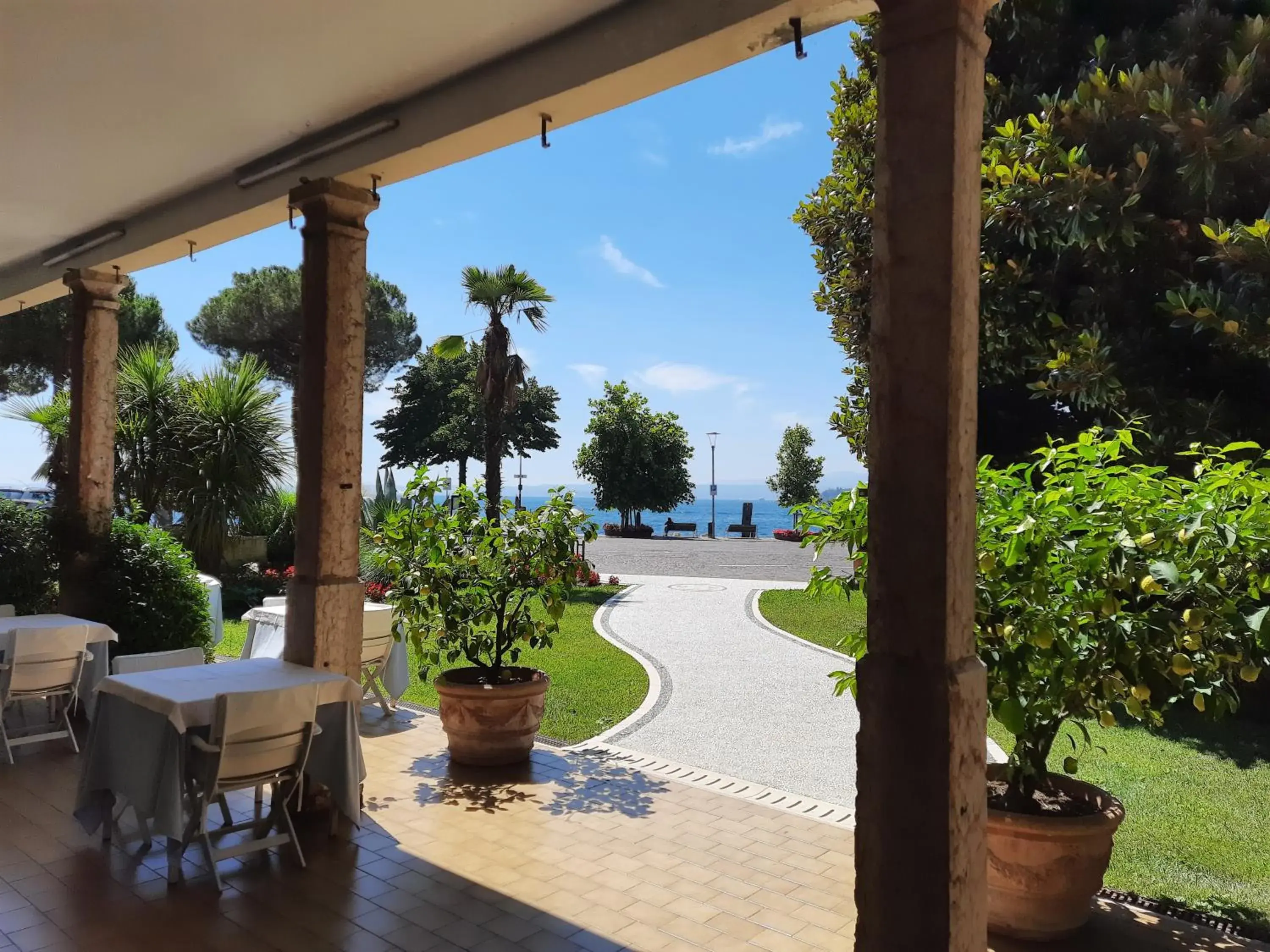 Garden in Hotel Terminus