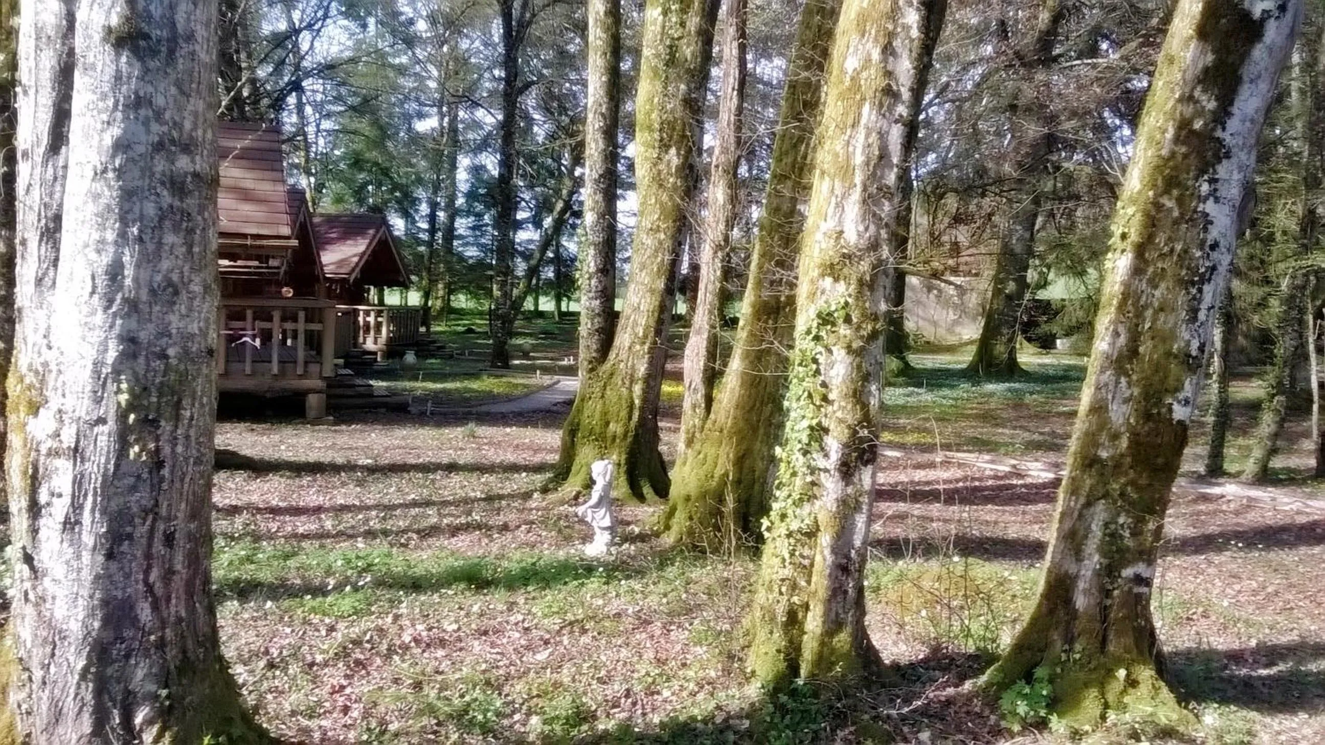 Day in Chambres d'hôtes La Gargaille