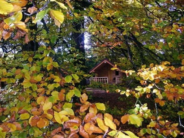 Facade/entrance in Chambres d'hôtes La Gargaille