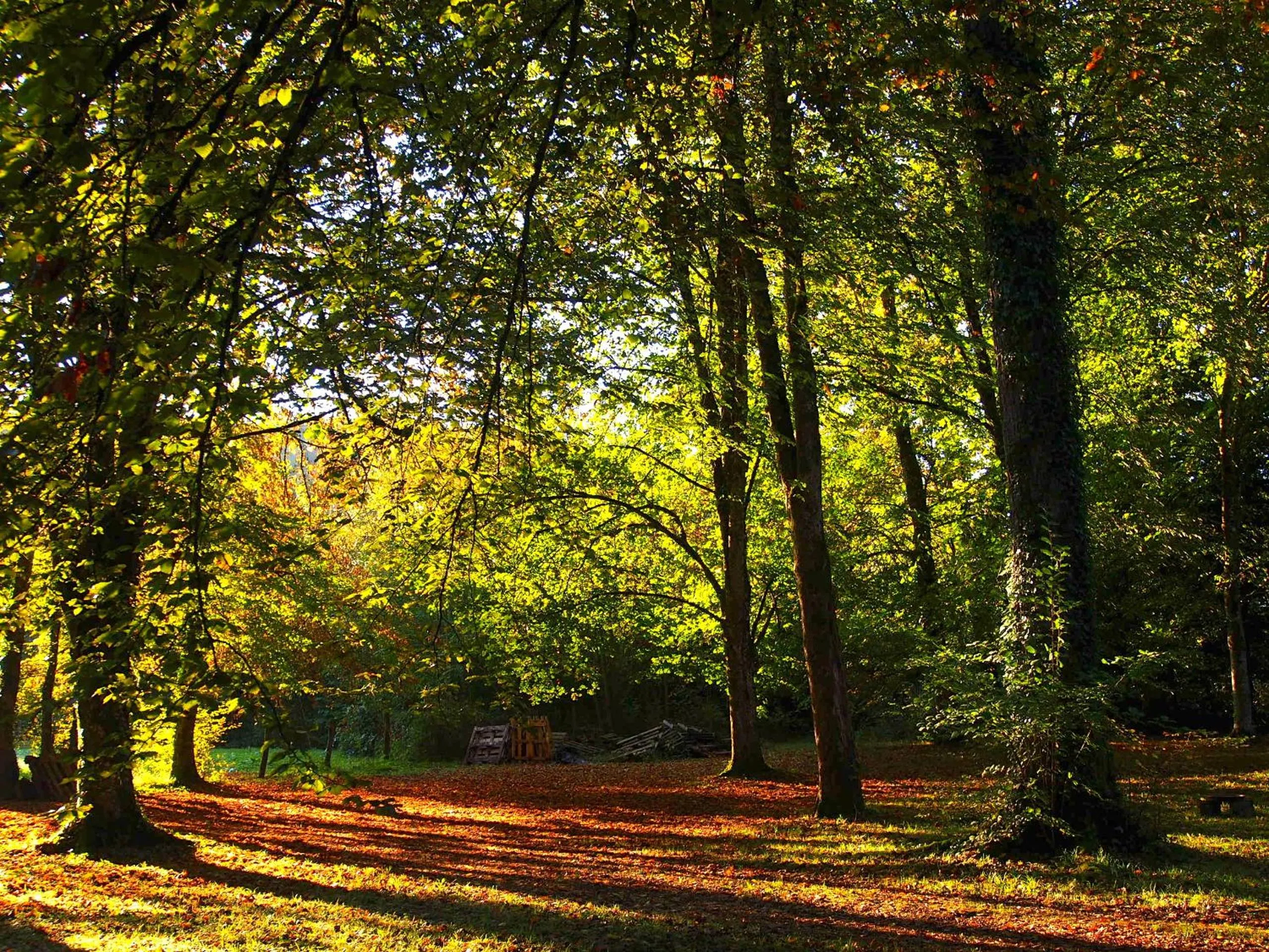 Property building in Chambres d'hôtes La Gargaille