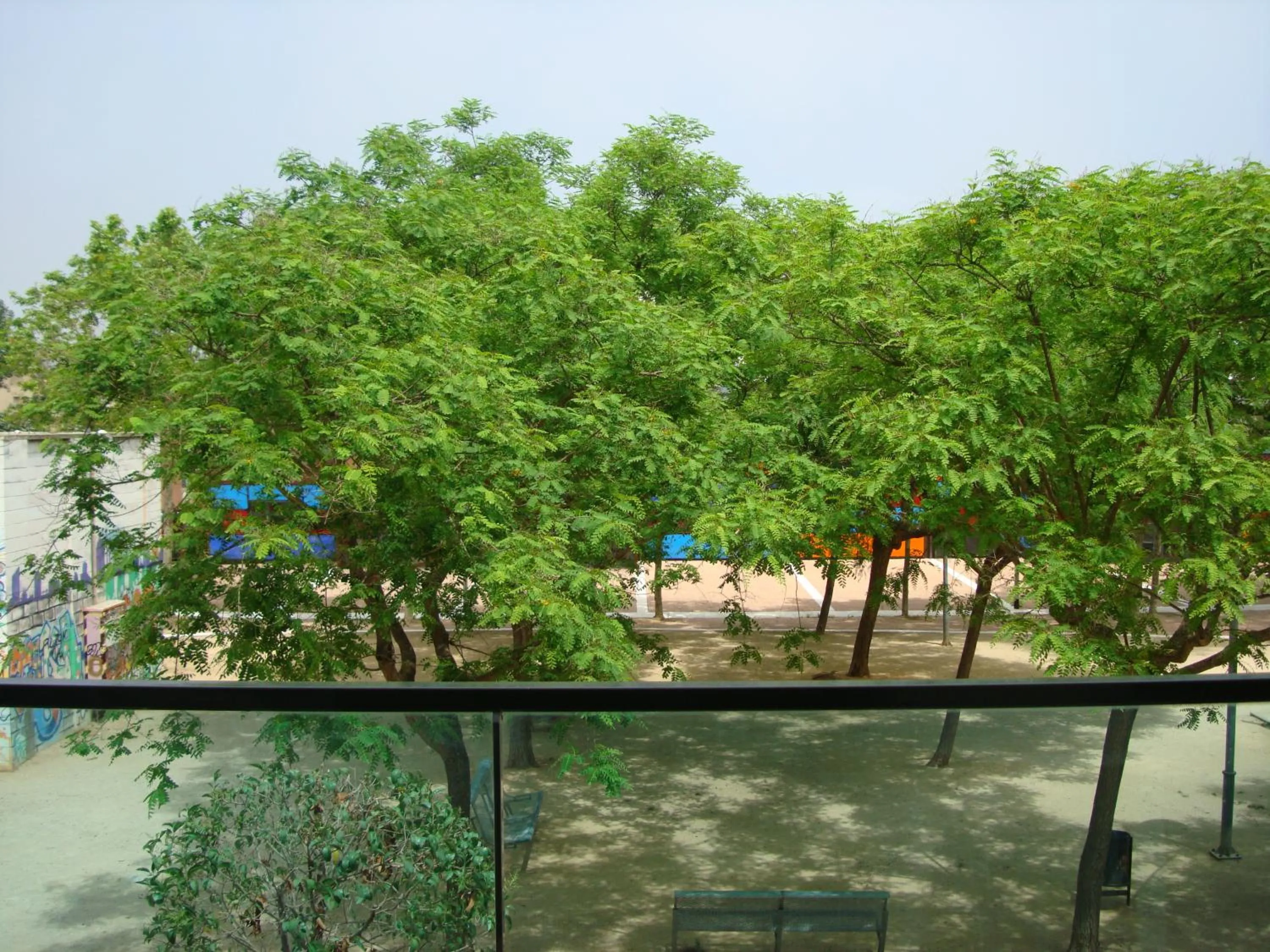 View (from property/room) in Palamós Apartamentos