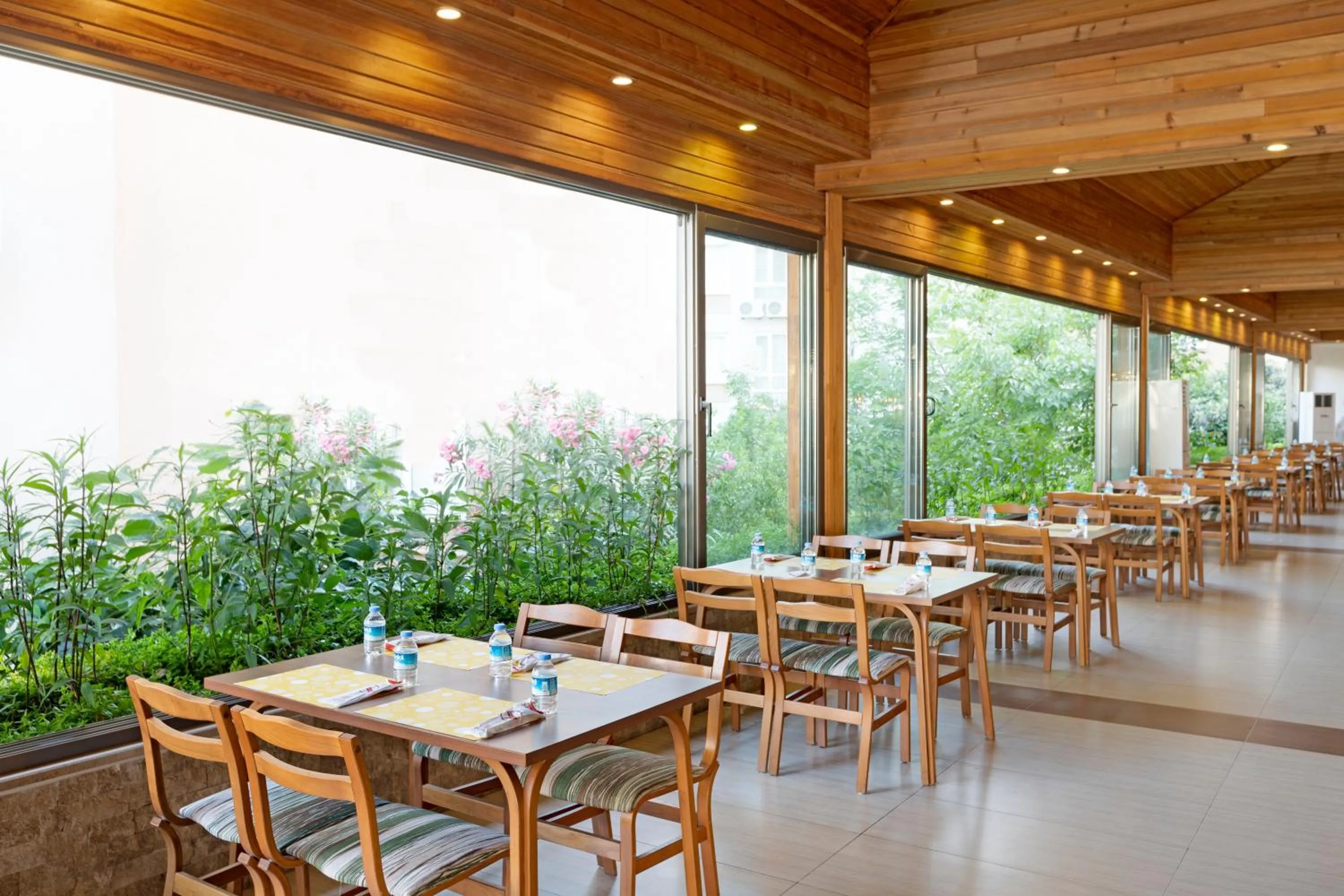 Restaurant/Places to Eat in Euphoria Comfort Beach Alanya