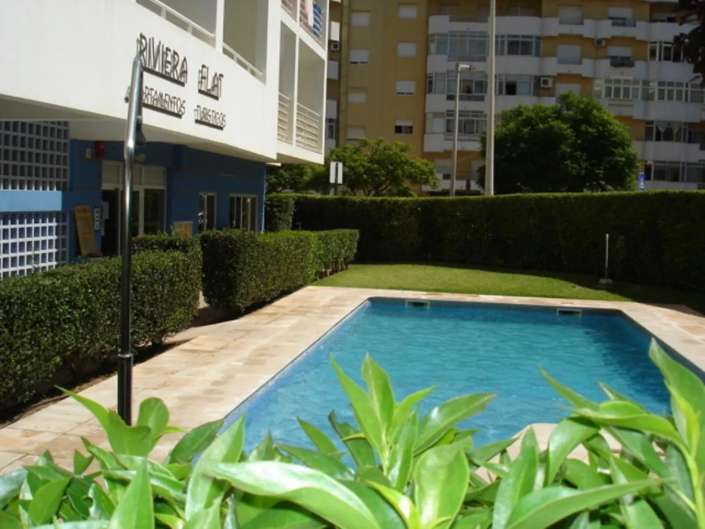 Swimming pool in Riviera Flat