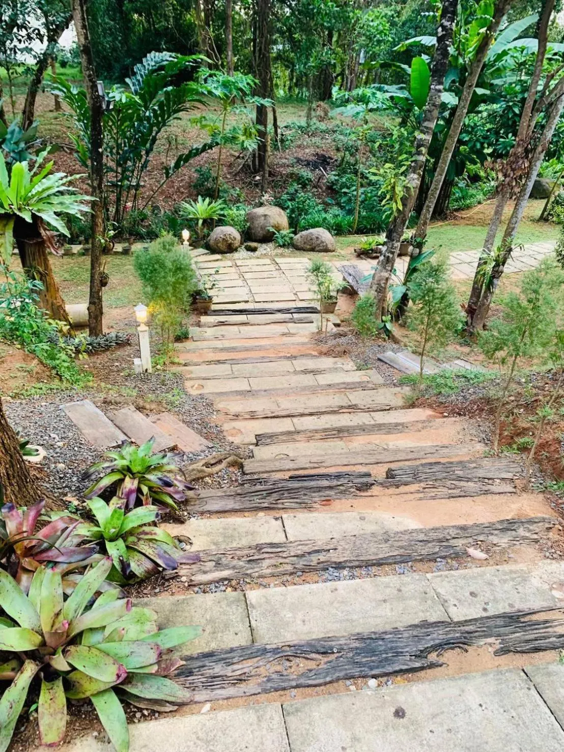 Natural landscape in Snapper House