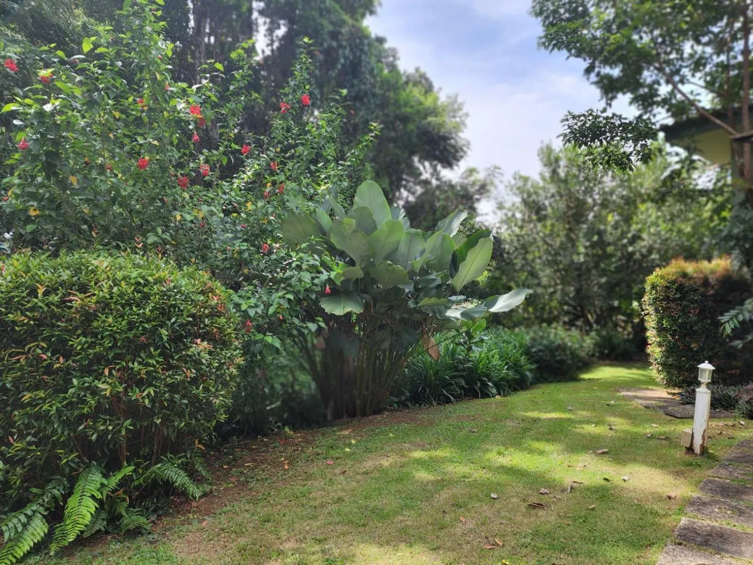 View (from property/room) in Snapper House