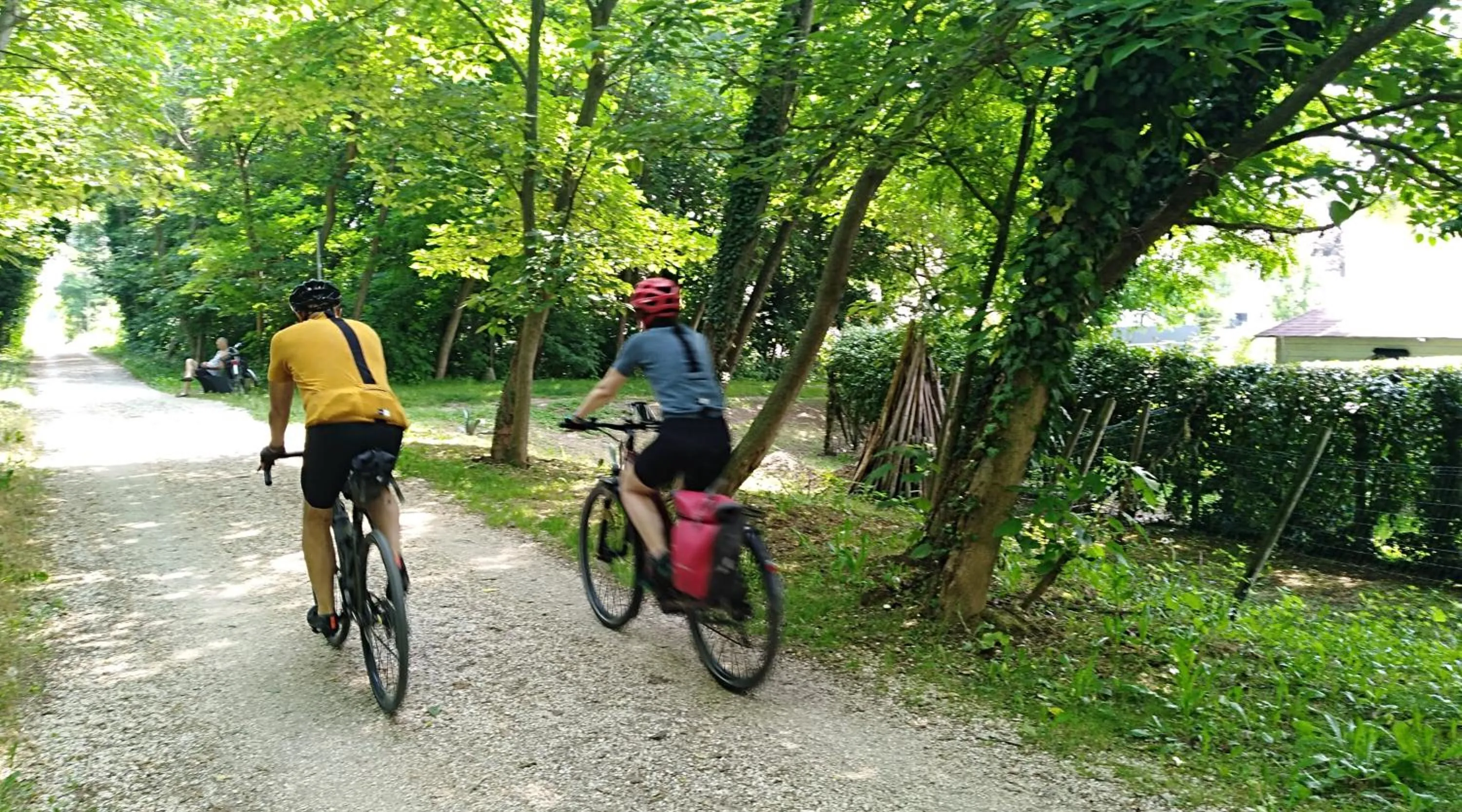 Cycling in Sunset View Treviso Apartment