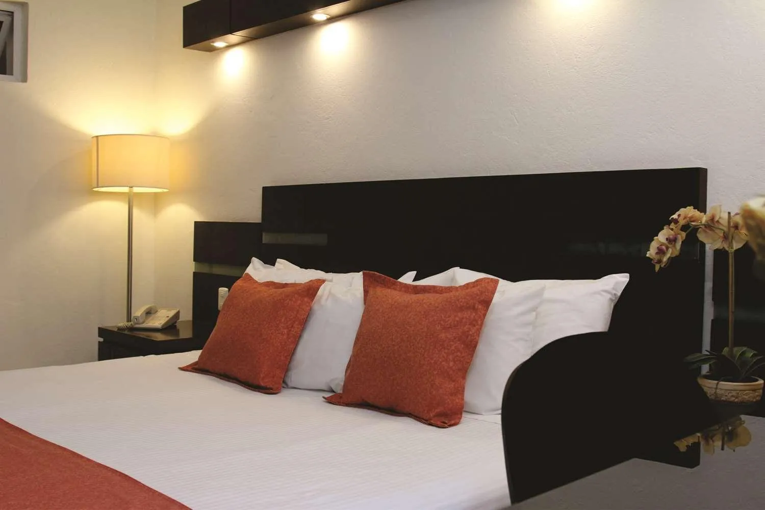 Bed in Hotel Poza Rica Centro