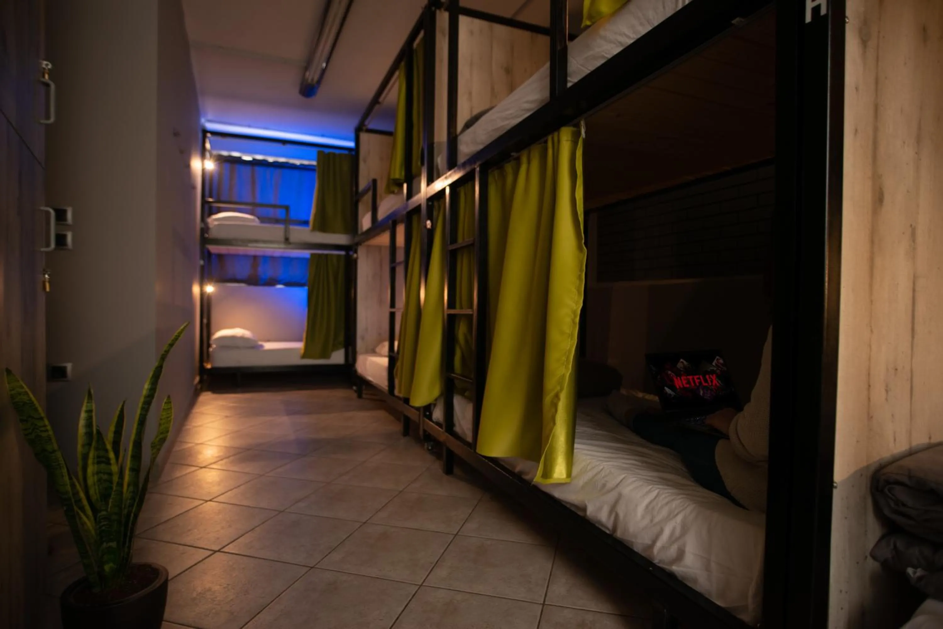 bunk bed, Bed in Bedway Athens Hostel