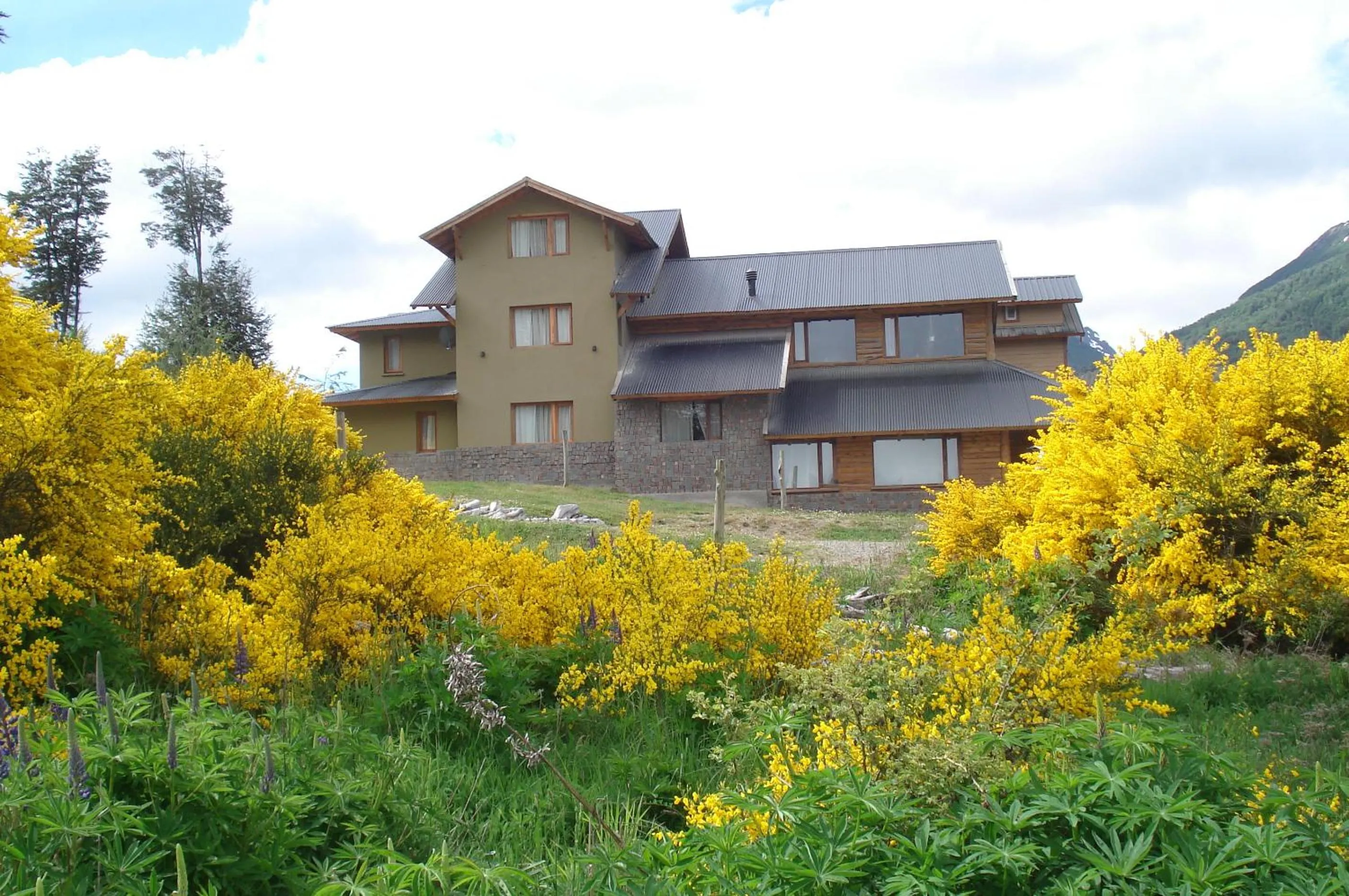 Property building in La Roca de la Patagonia