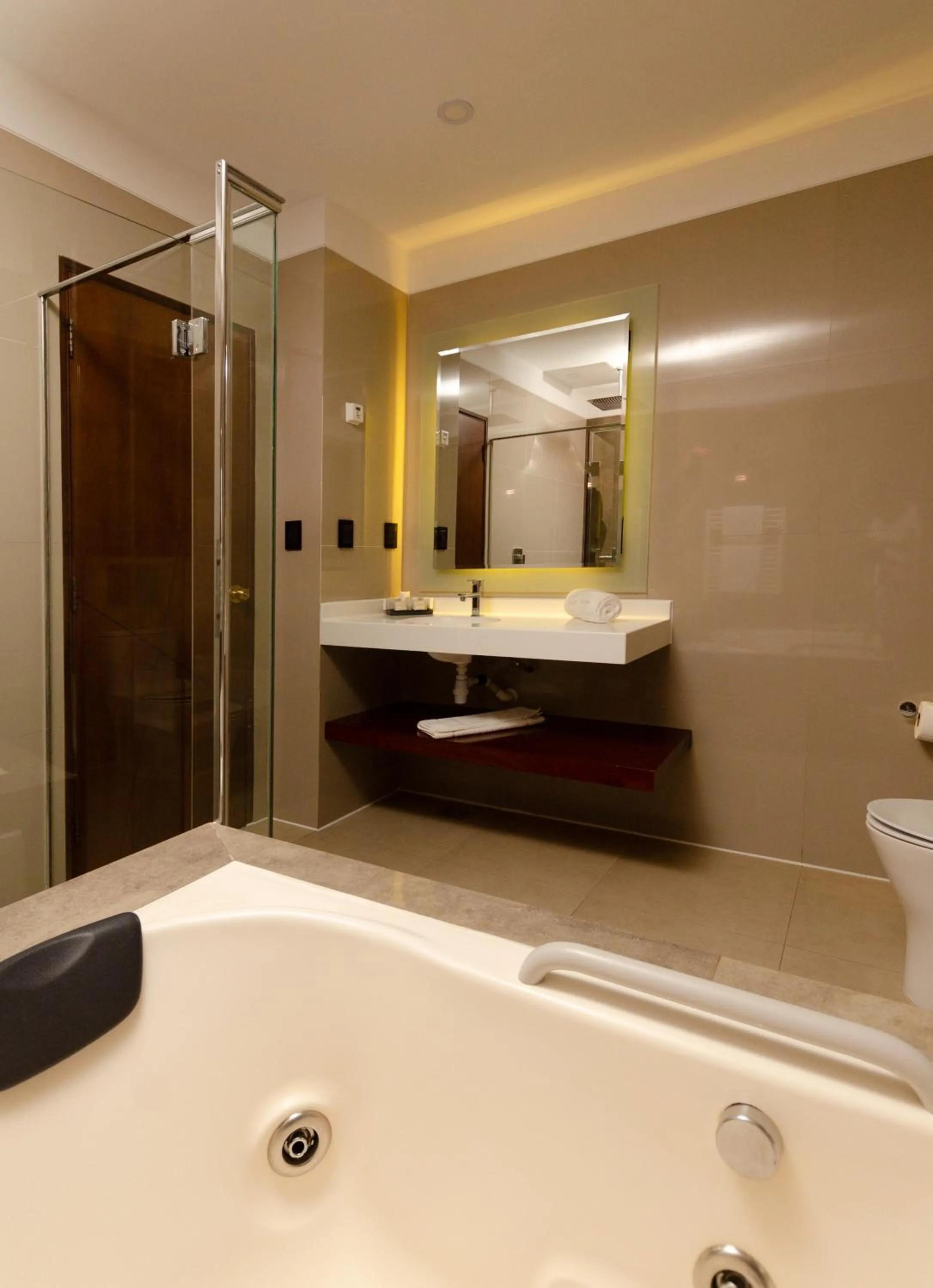 Bathroom in Hotel Mitru Sur