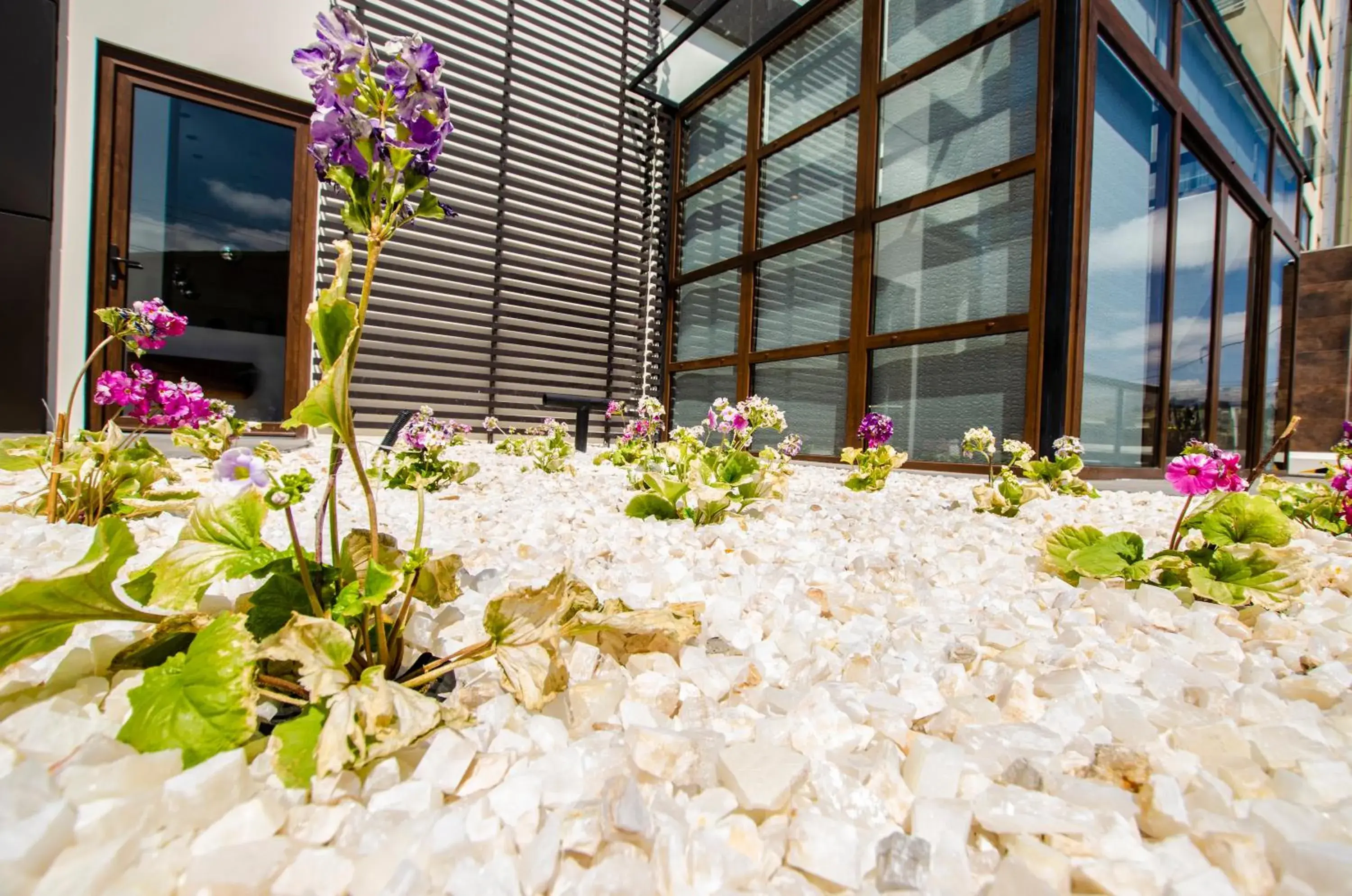 Facade/entrance in Hotel Mitru Sur Facade/entrance in Hotel Mitru Sur