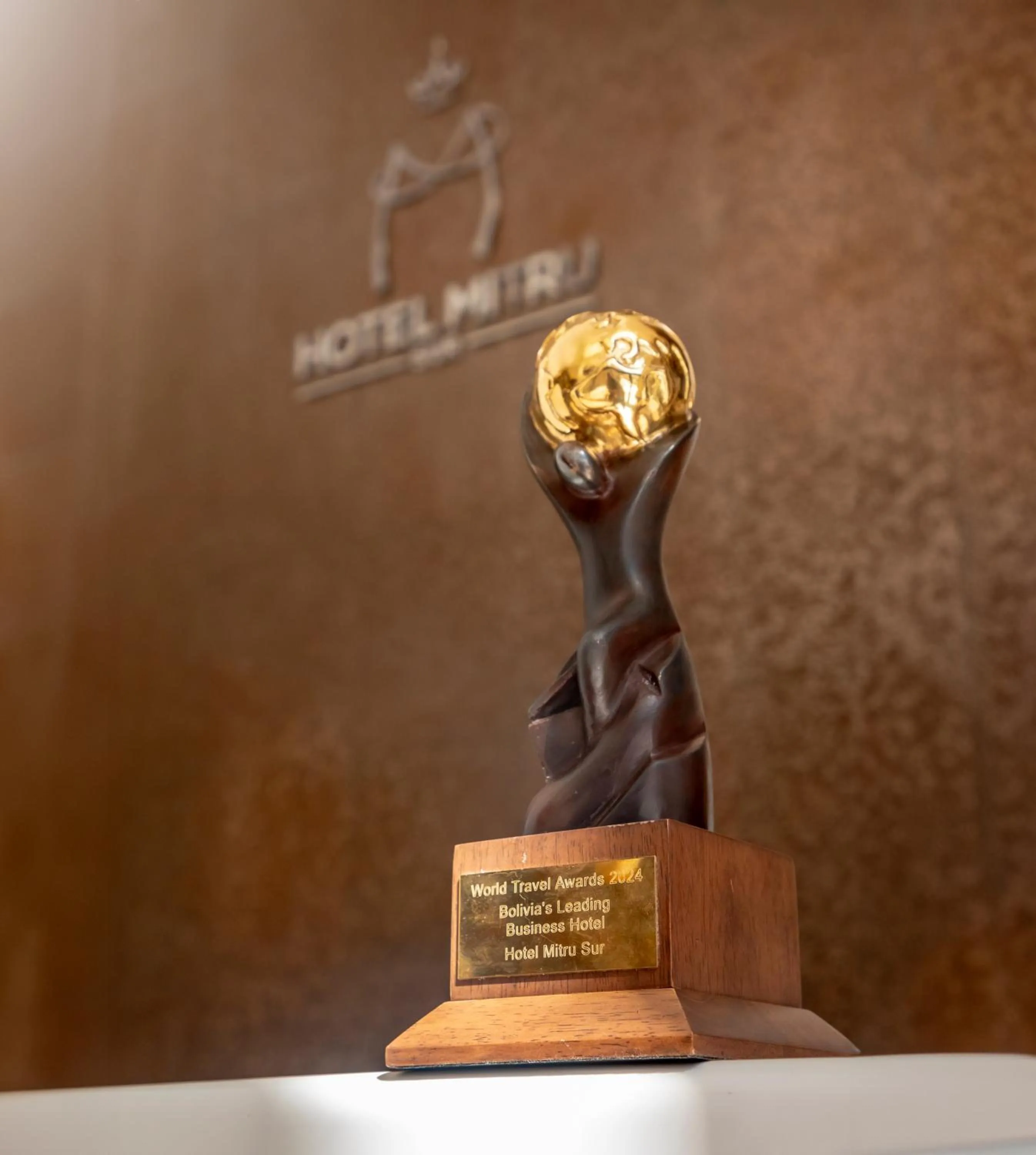 Property building in Hotel Mitru Sur