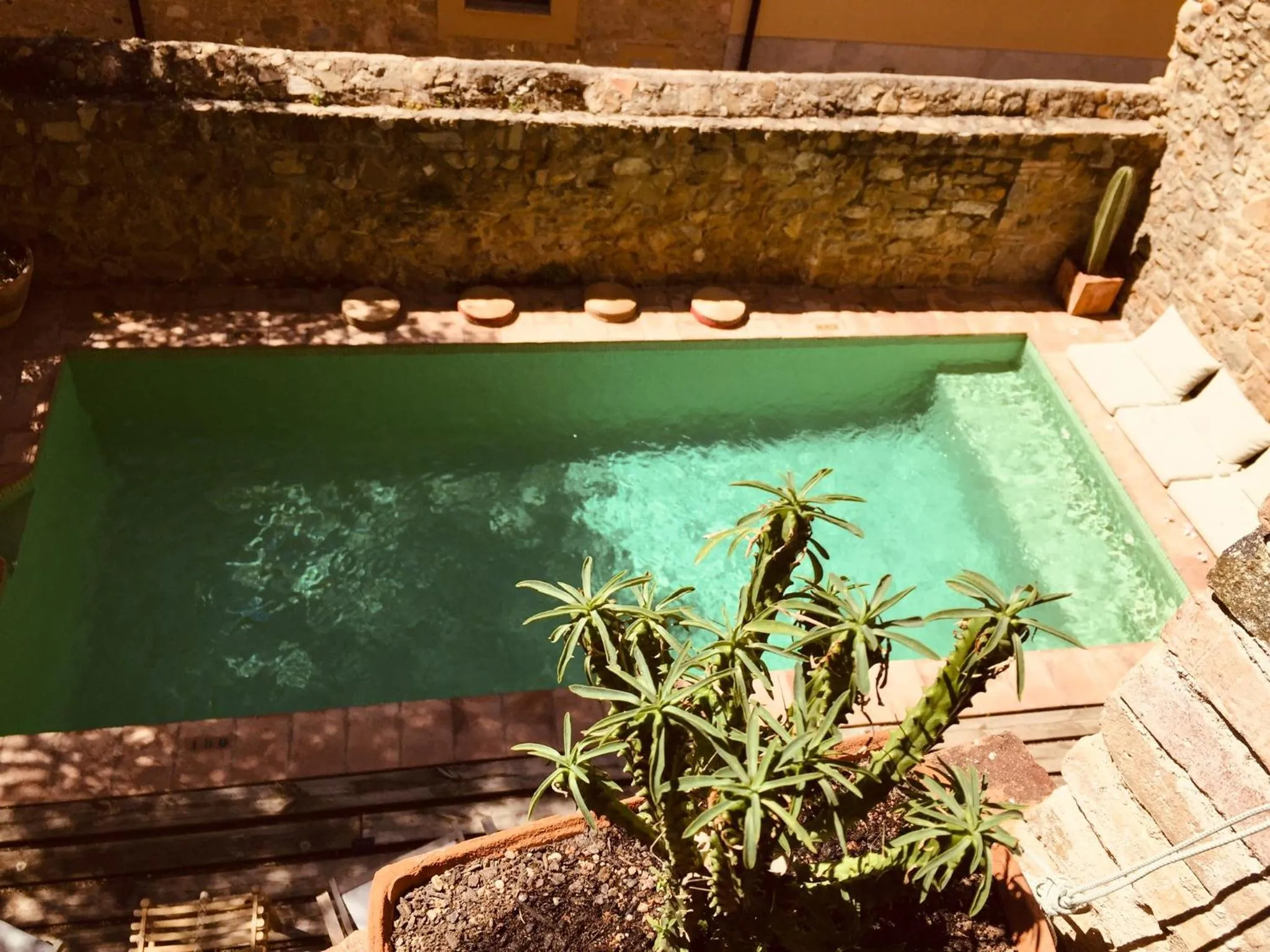 Swimming pool in Casa Migdia