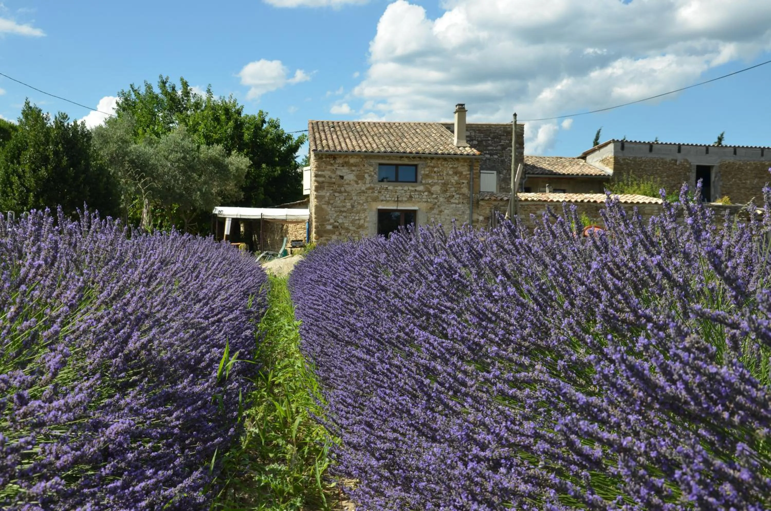 Property building in Mas de l'Amme