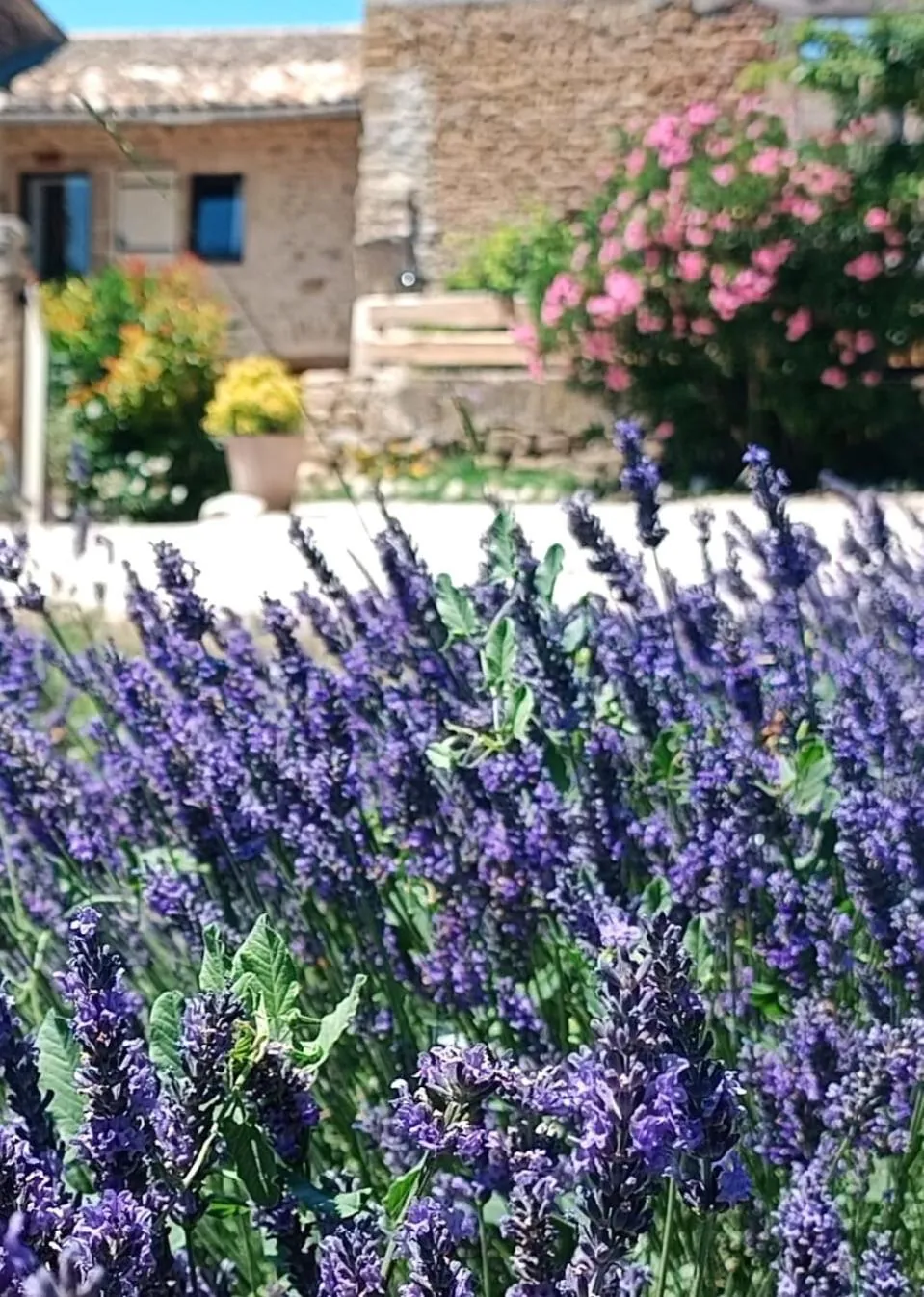 Property building in Mas de l'Amme