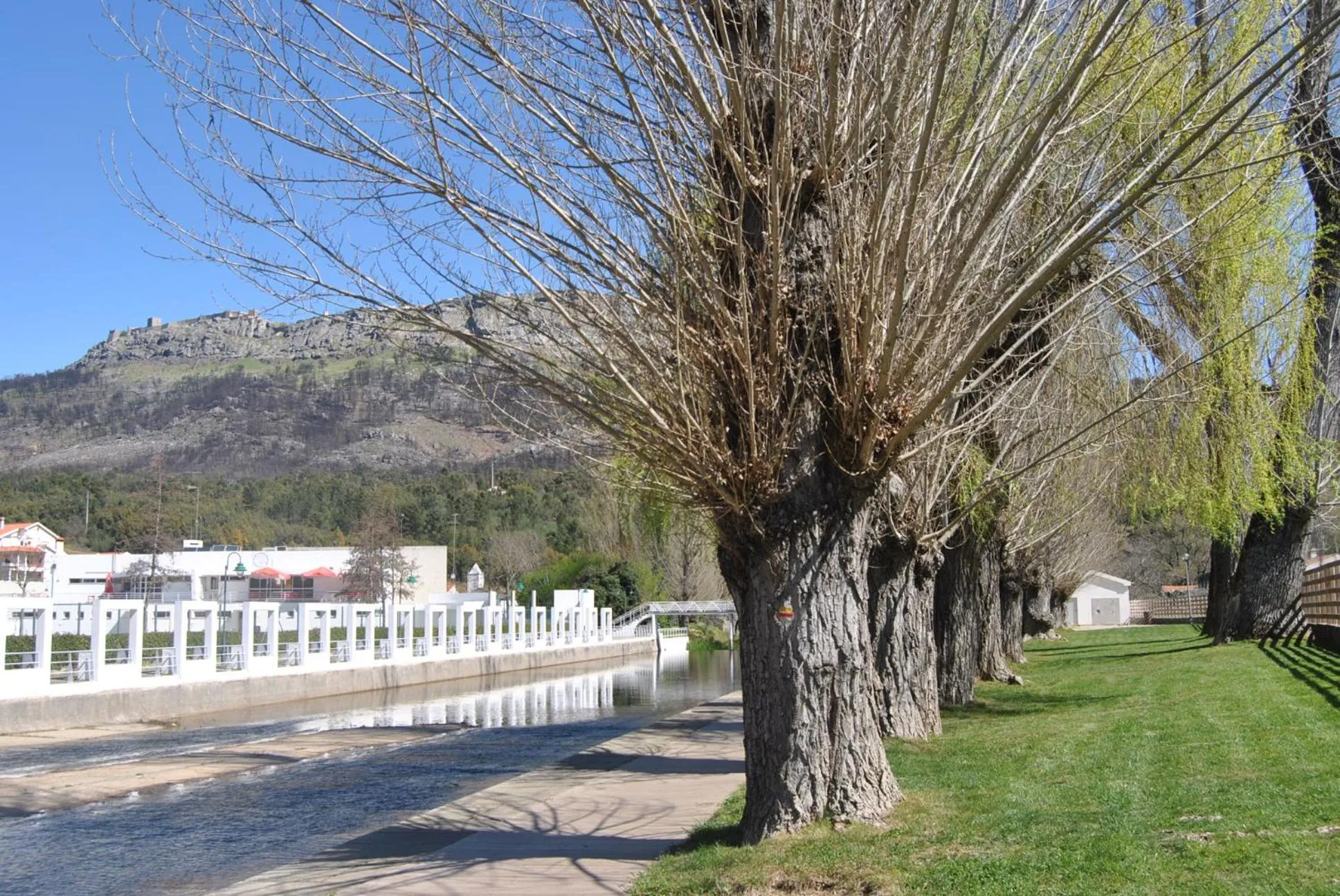 Nearby landmark in Hotel El Rei Dom Manuel