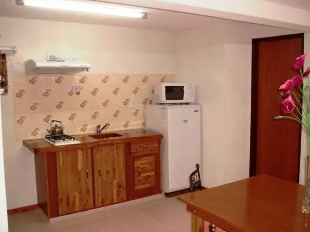 Kitchen or kitchenette in Apart Hotel y Hosteria del Sir