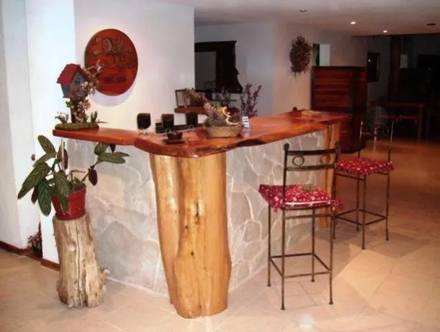 Lobby or reception in Apart Hotel y Hosteria del Sir