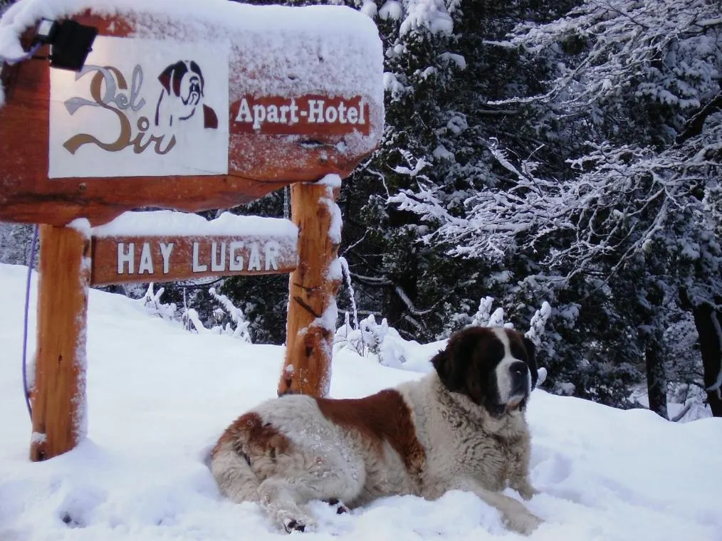Day in Apart Hotel y Hosteria del Sir