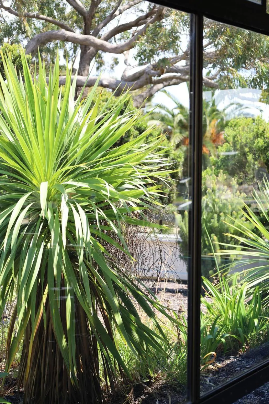 Garden in Robetown Motor Inn & Apartments