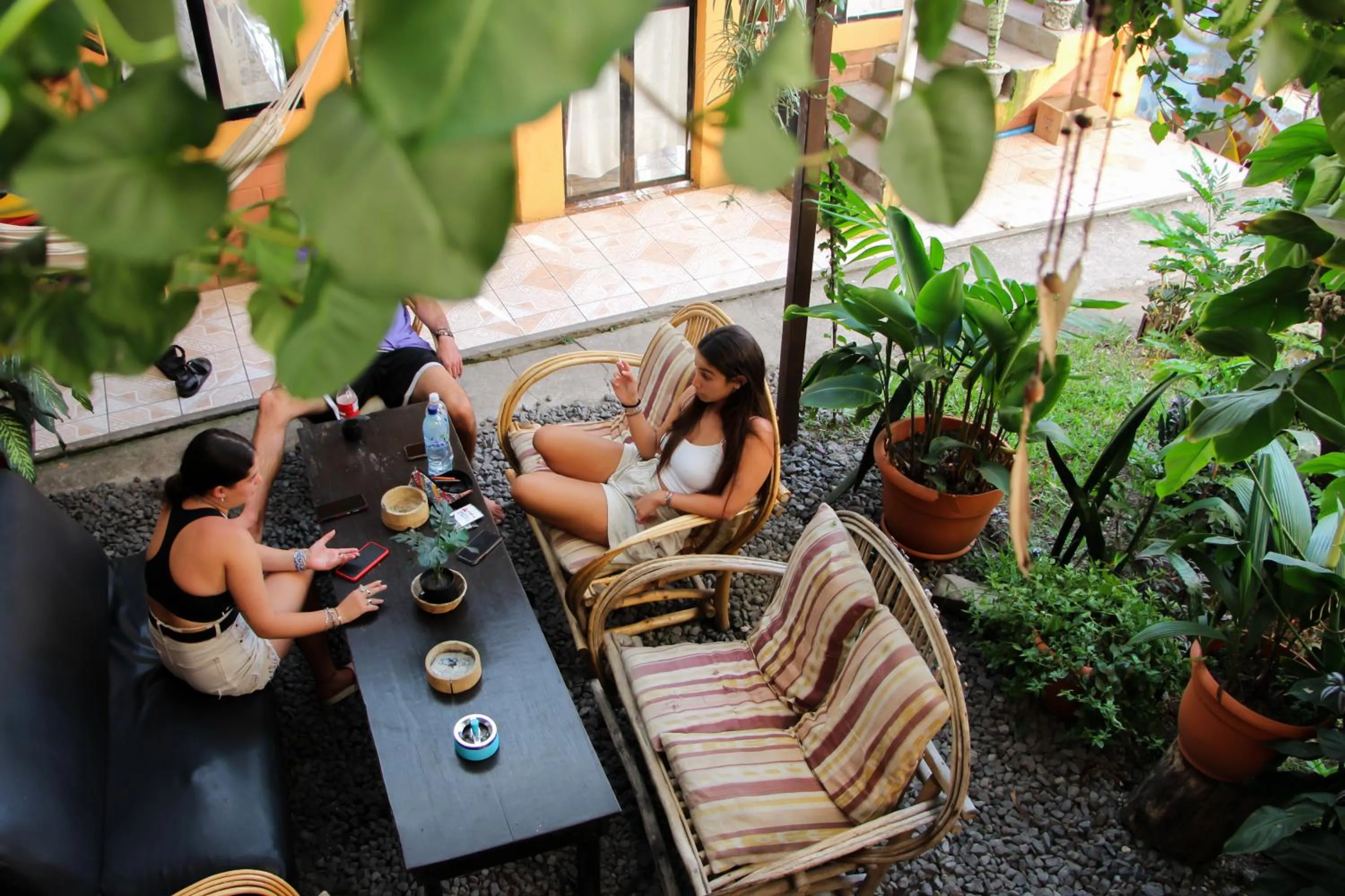 Garden in Amigos