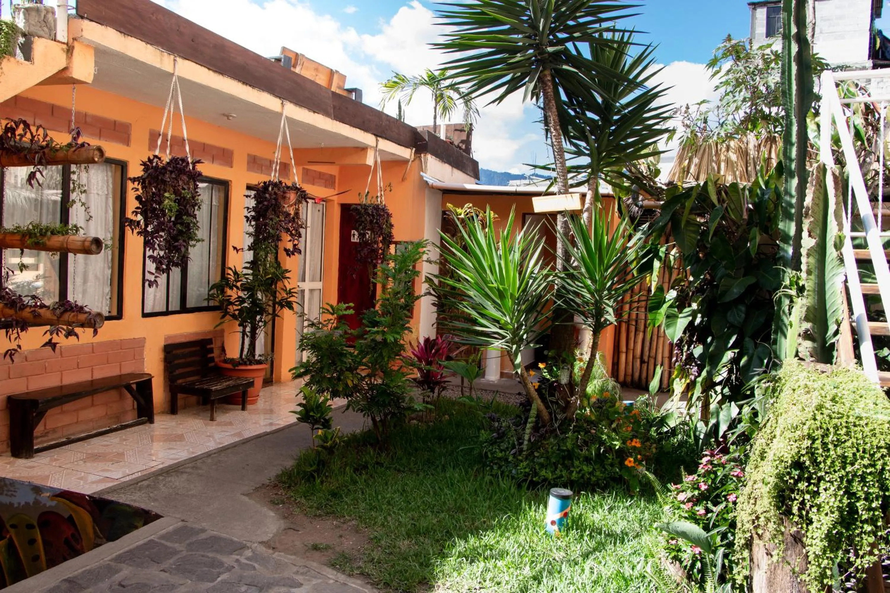 Garden in Amigos