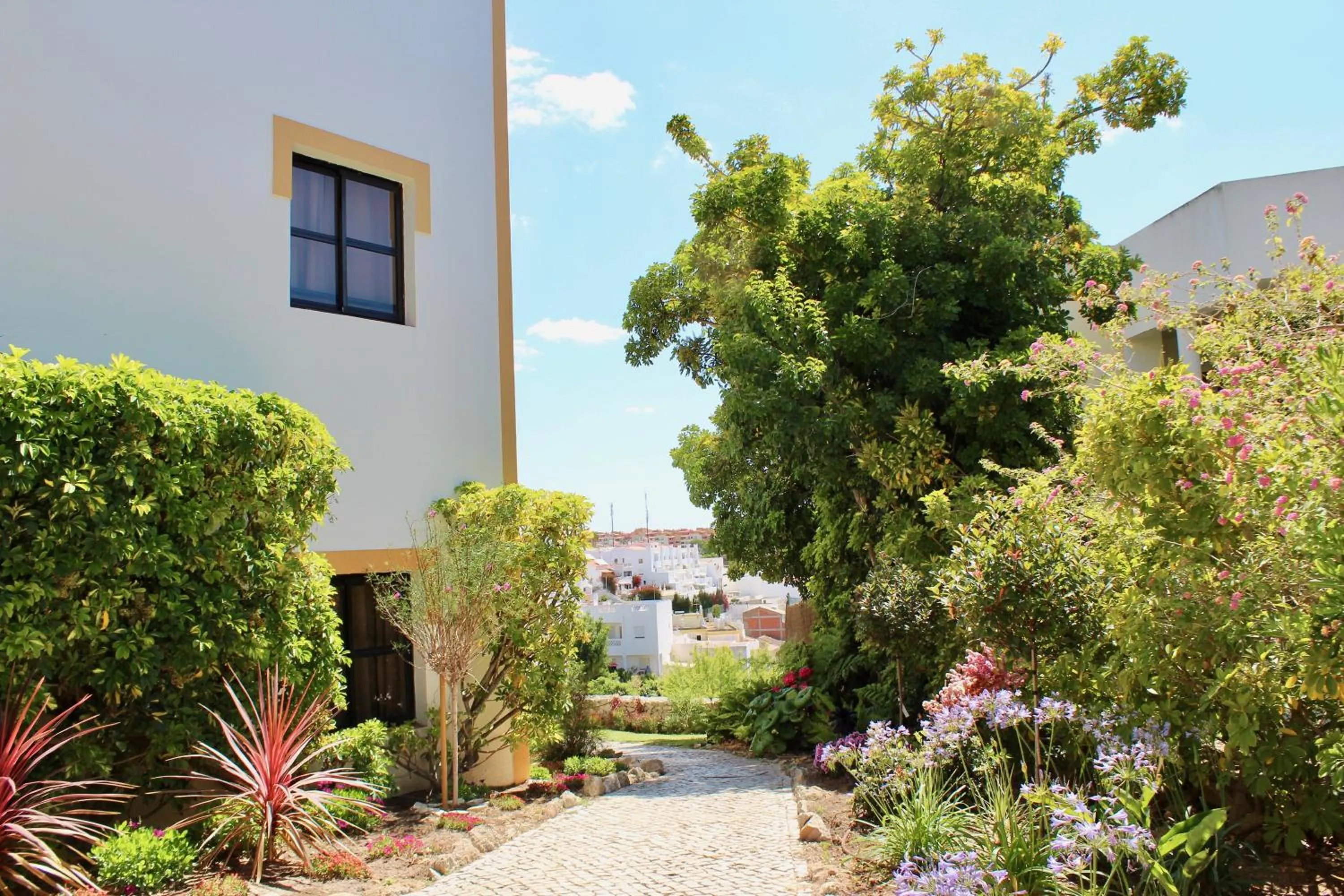 Garden in Alfagar Cerro Malpique