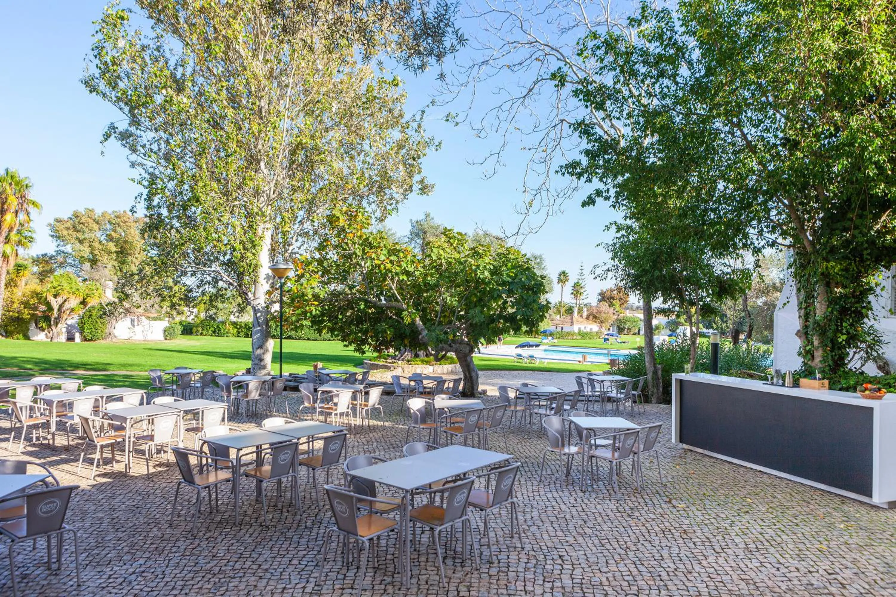 Lounge or bar in Pedras D'el Rei