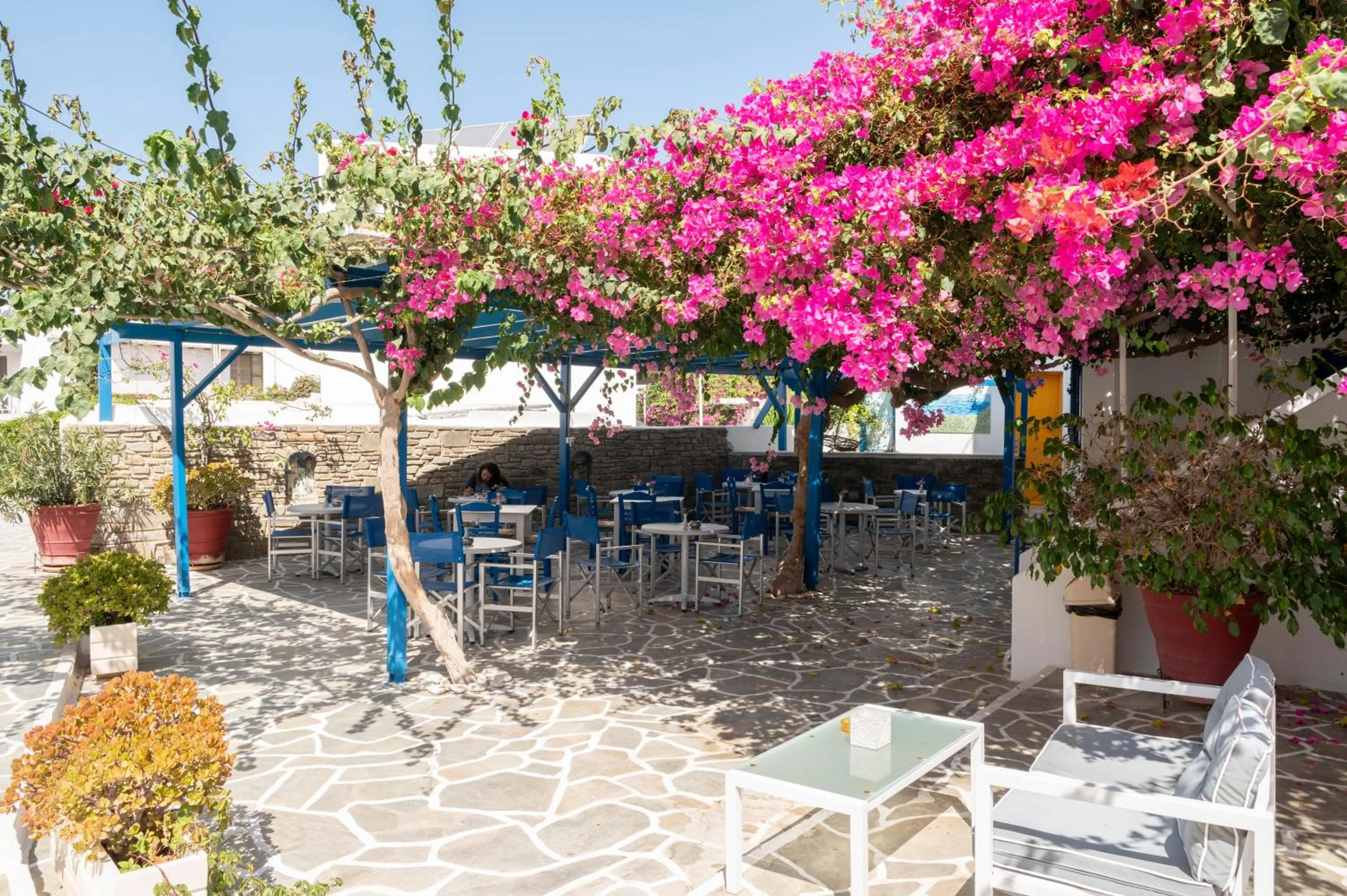Garden in Ayeri Hotel