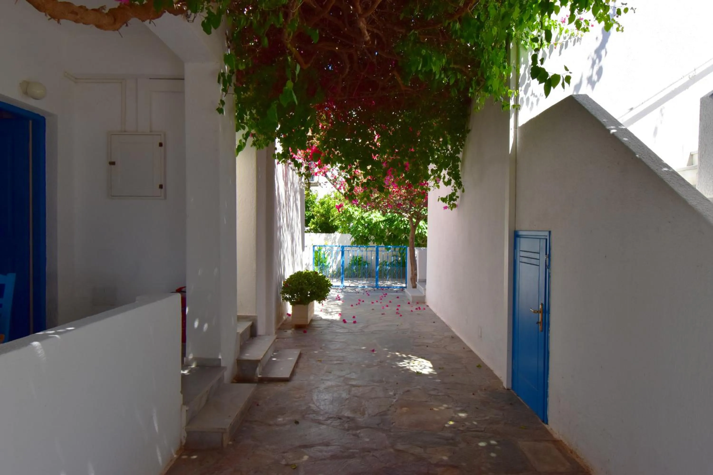 Patio in Ayeri Hotel