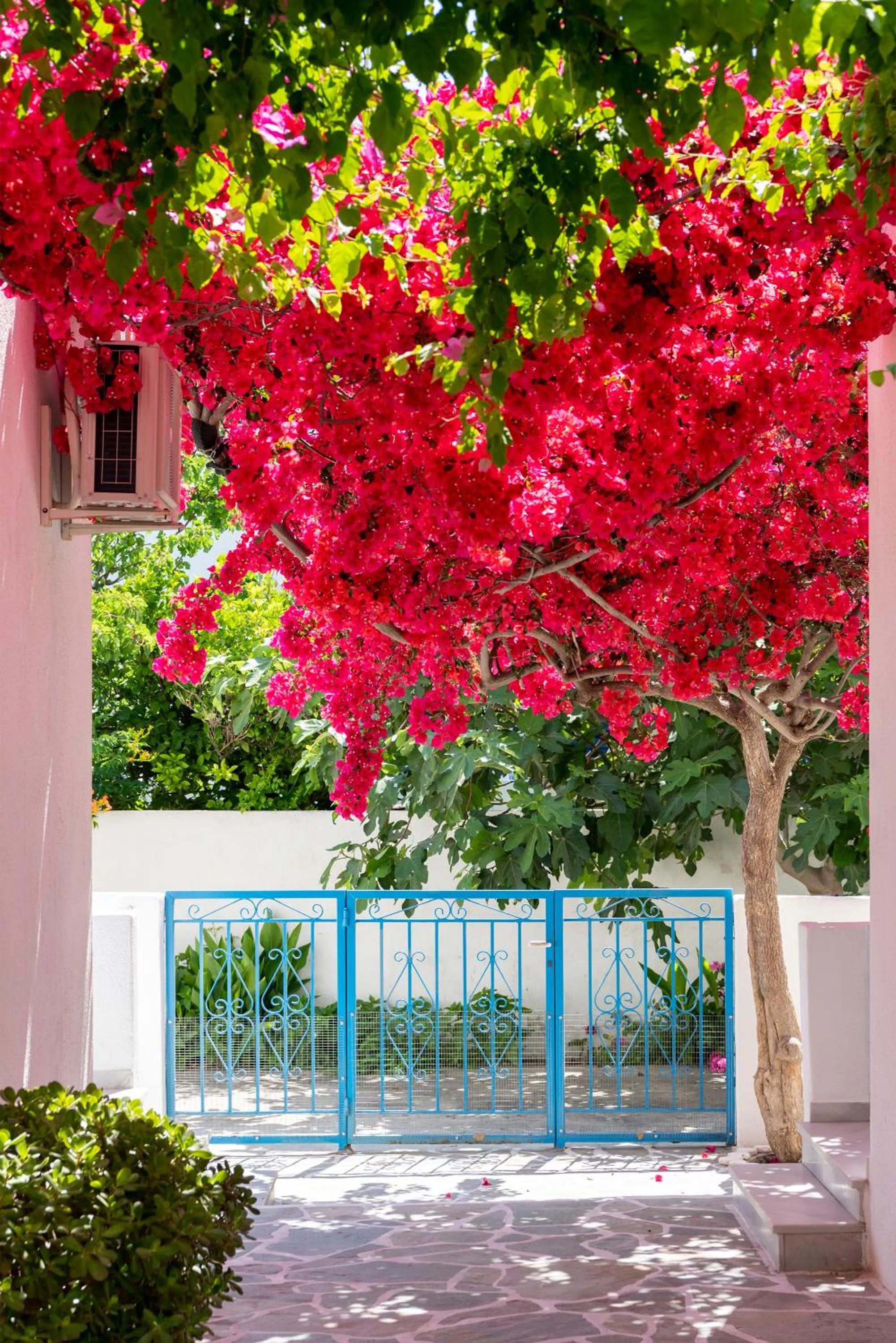 Patio in Ayeri Hotel