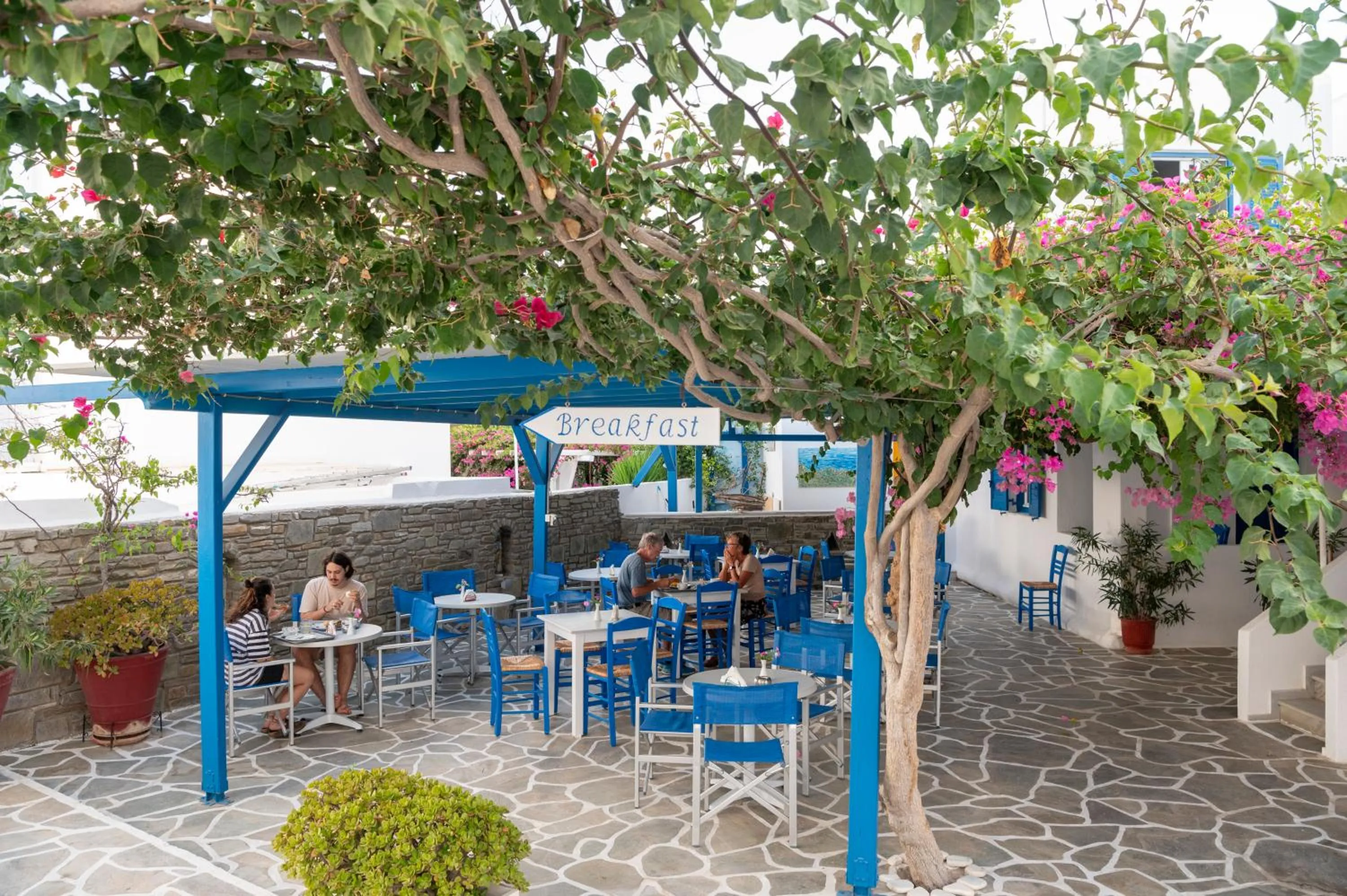 Garden in Ayeri Hotel