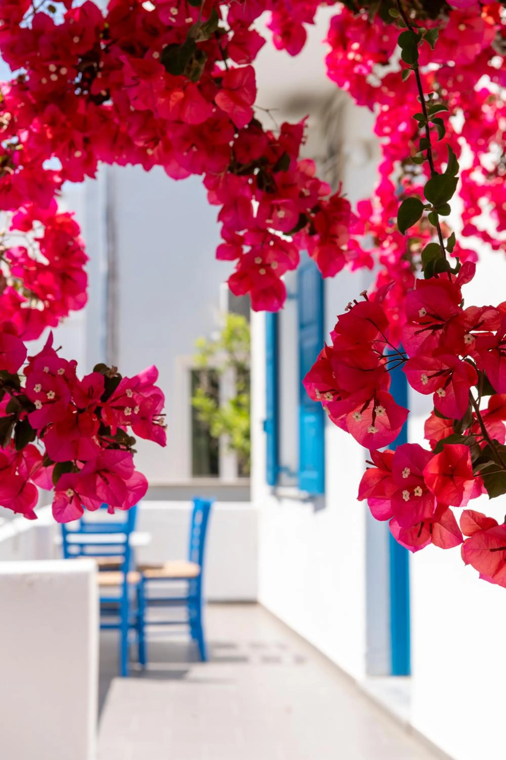 Patio in Ayeri Hotel