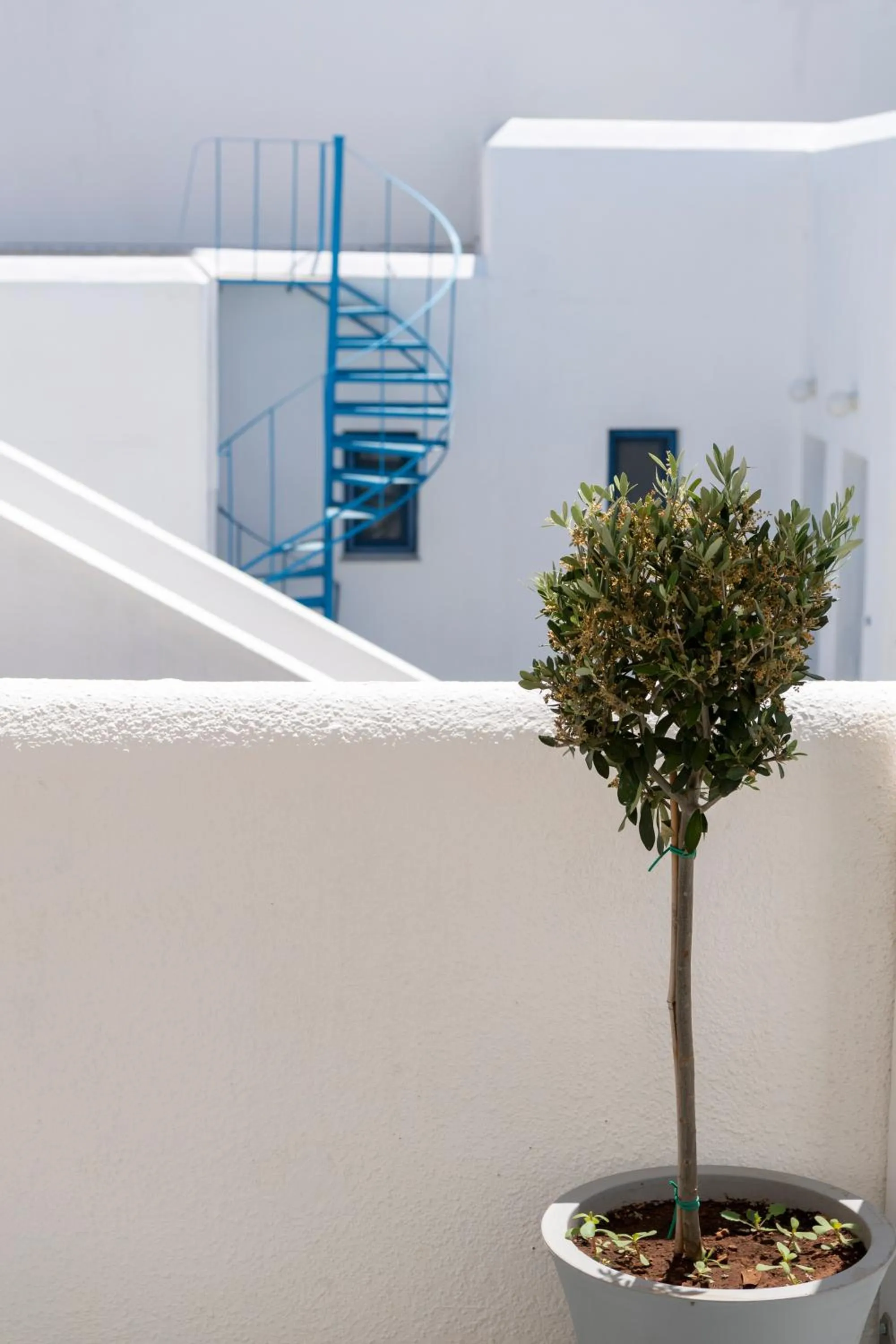 Patio in Ayeri Hotel