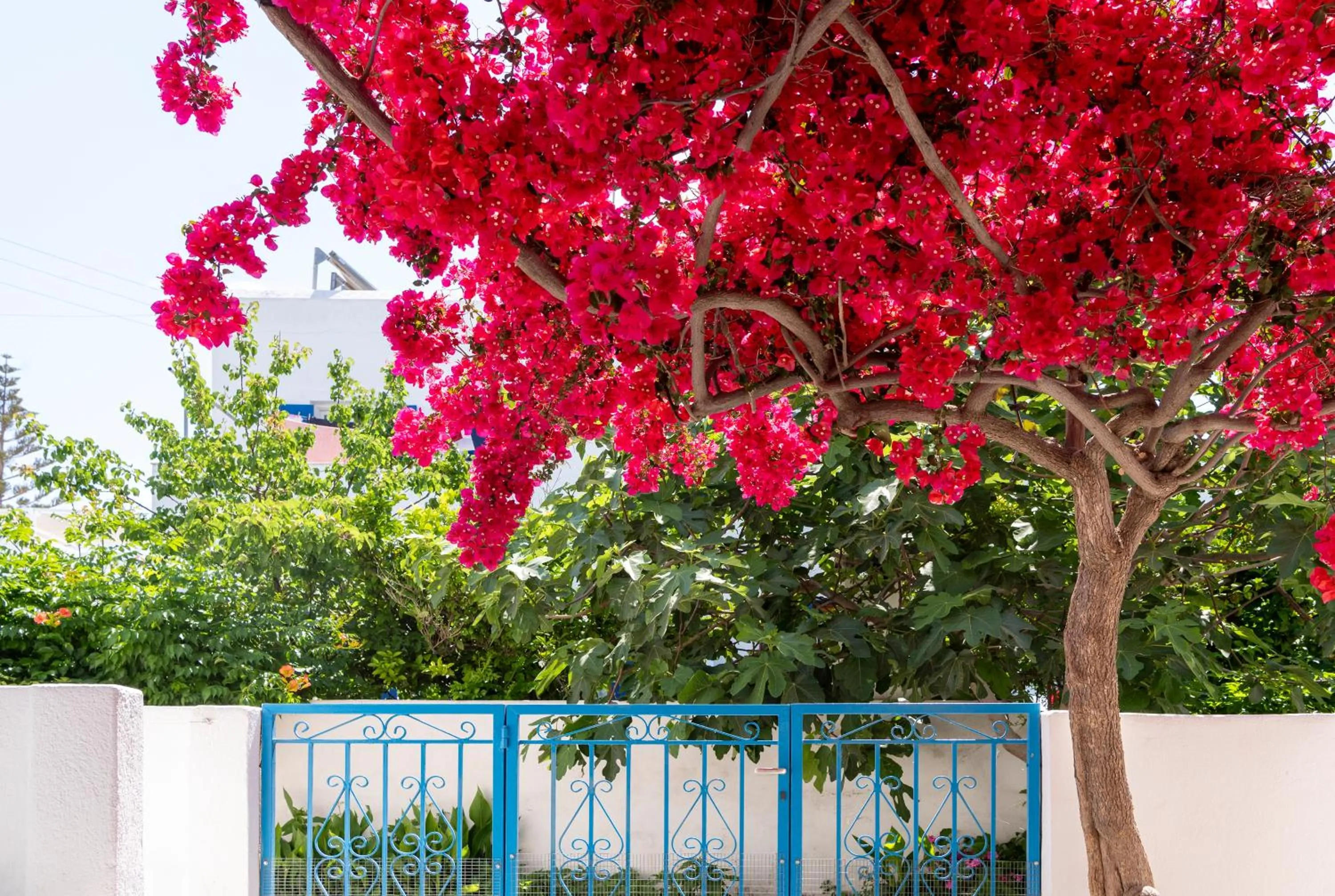 Patio in Ayeri Hotel